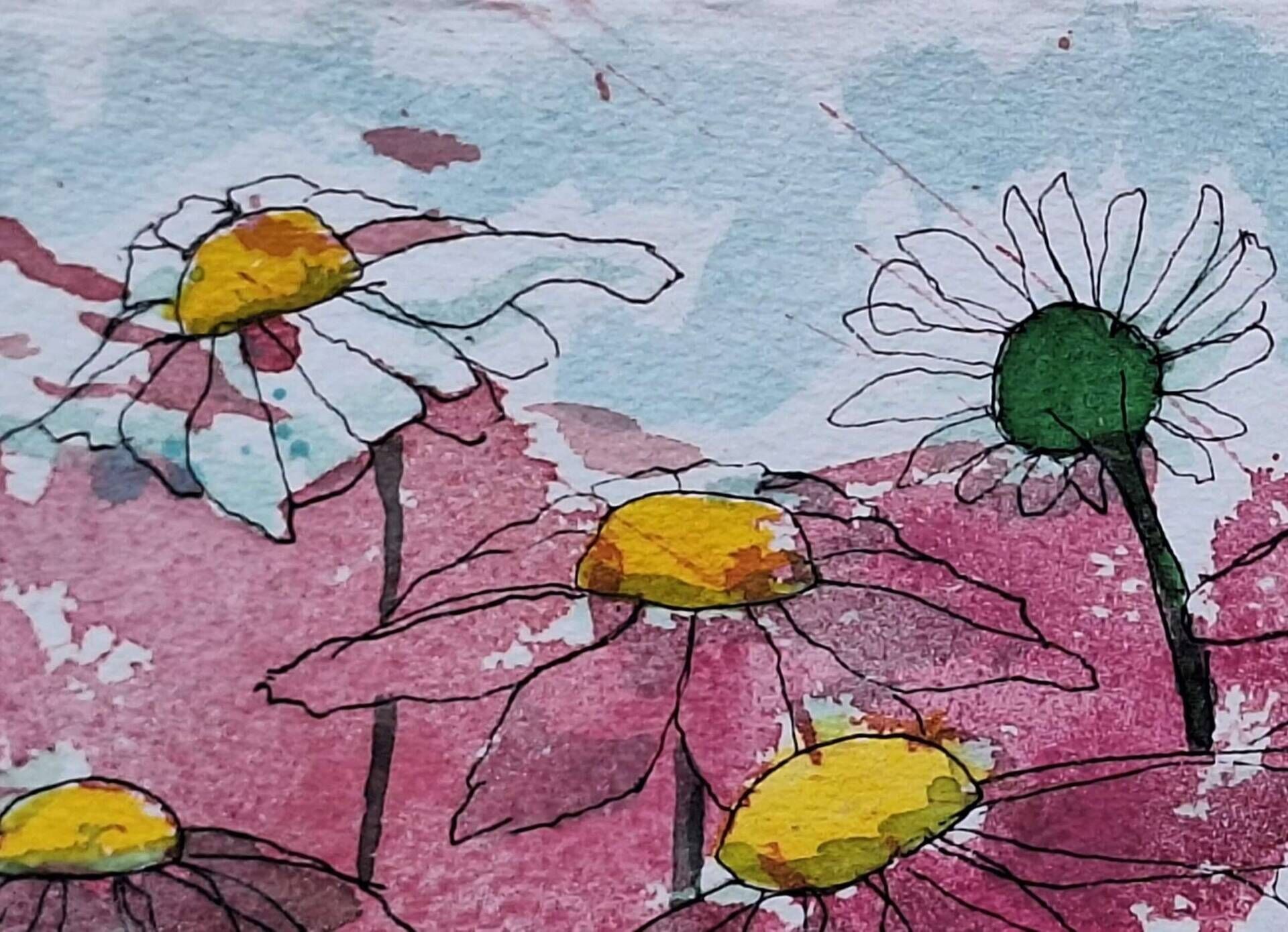Pink Daisies - Sara Wimmers 3