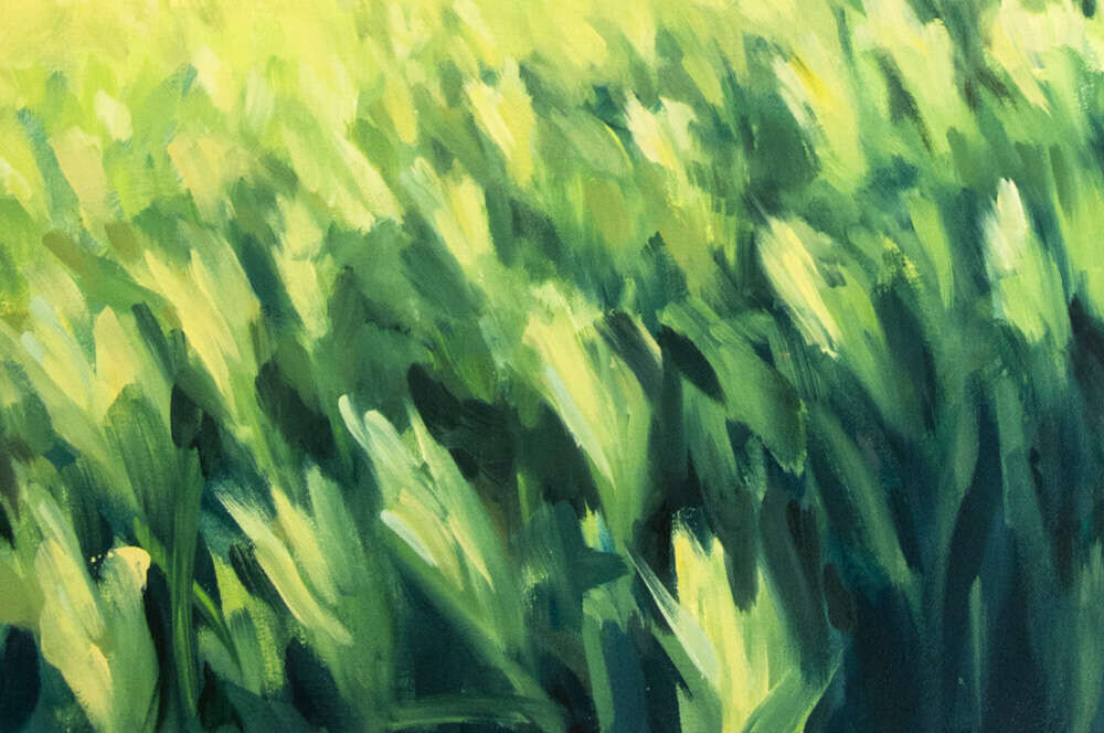 Gerste im Mai - Janna Schnoor 3