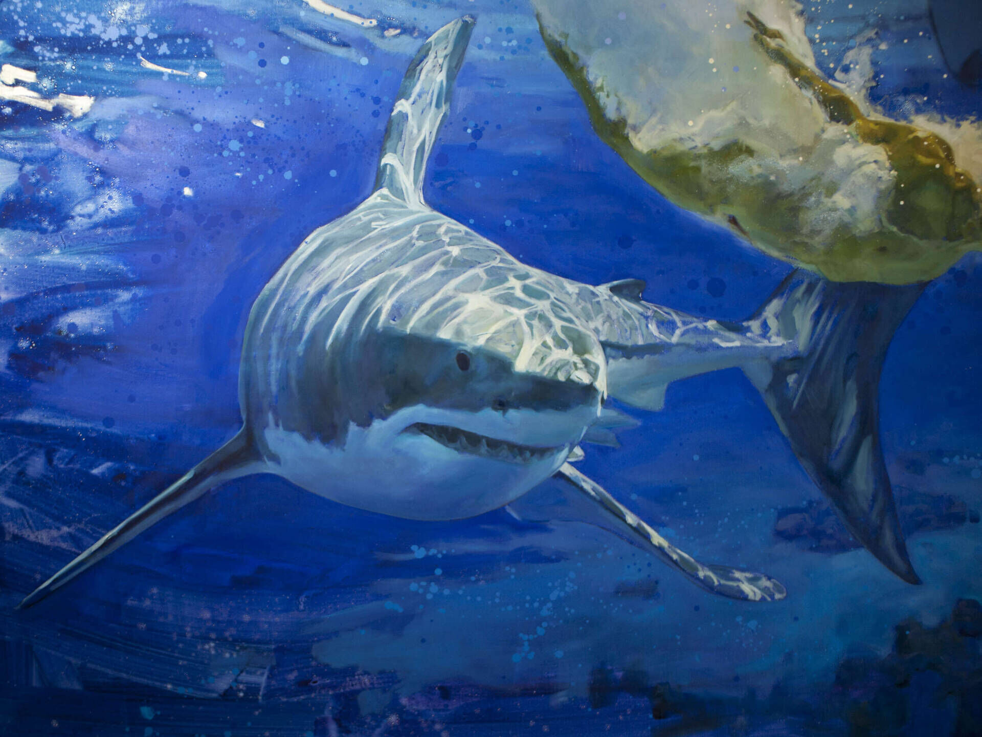 In der Tiefe - Oleksii Gnievyshev 4