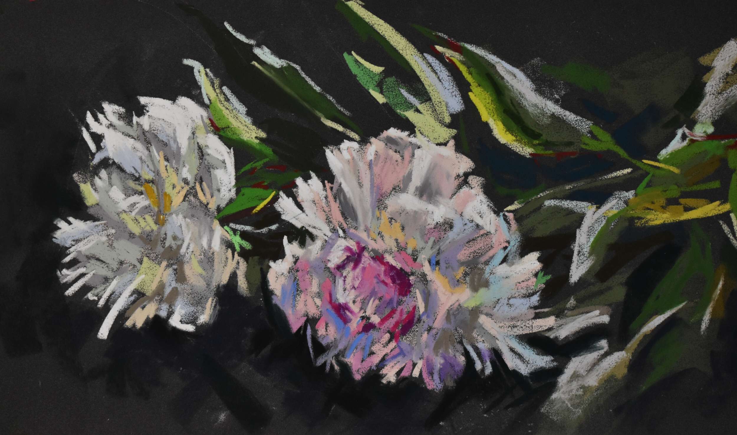White on black  - Elza Slo 1