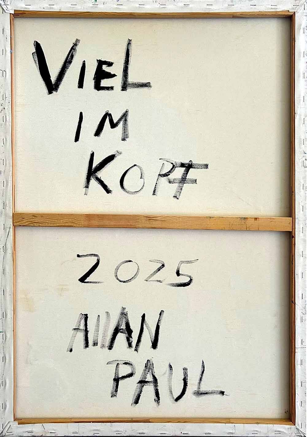 Viel im Kopf  - Allan Paul  3