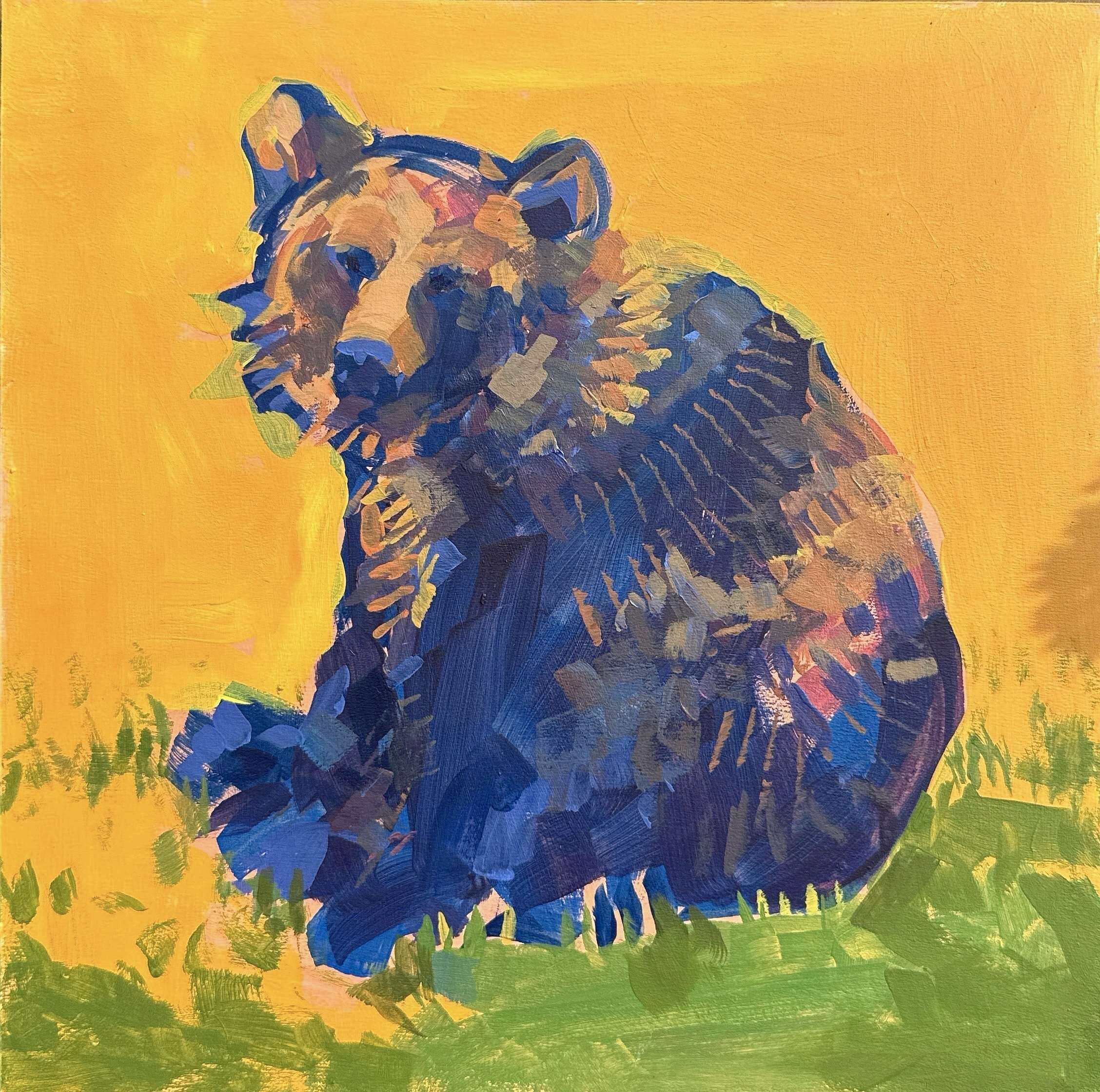 Blaubär - Daniel Heimgärtner 1
