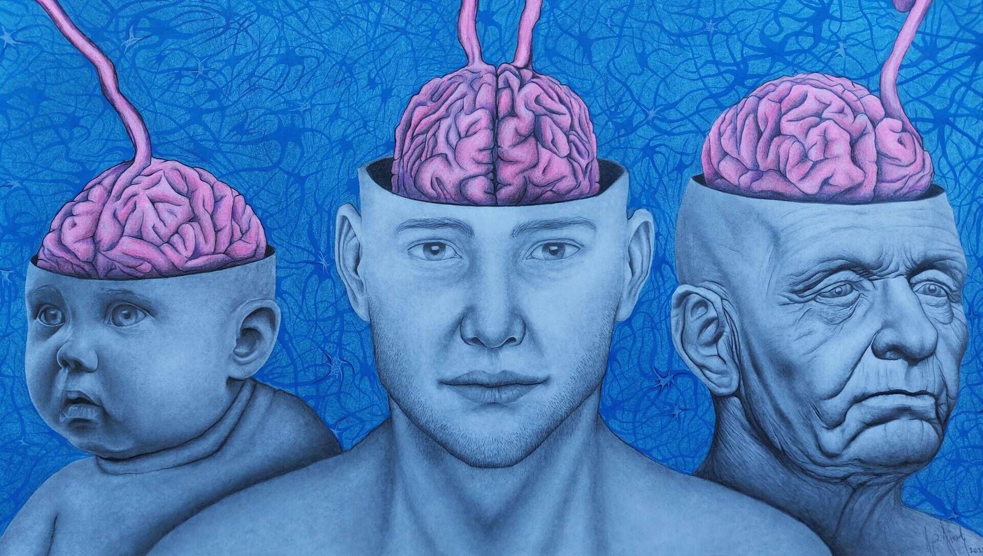 Lifelong learning - lebenslanges Lernen - Alexander Straub 2