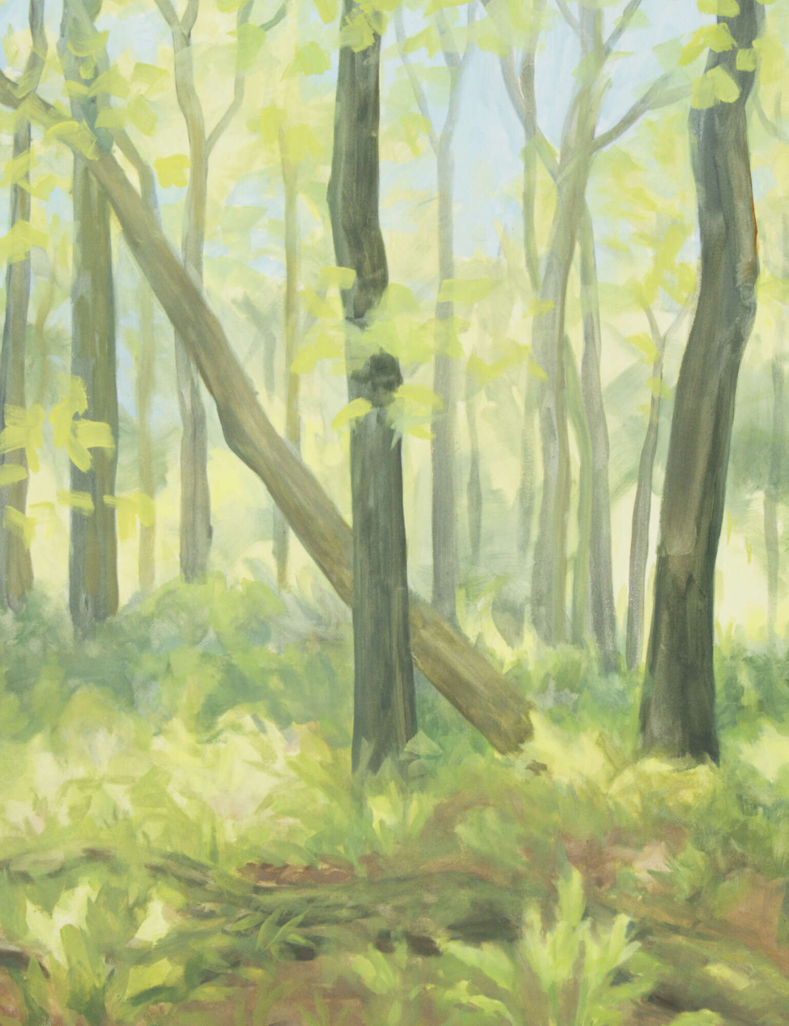Zartes Grün I - Janna Schnoor 4