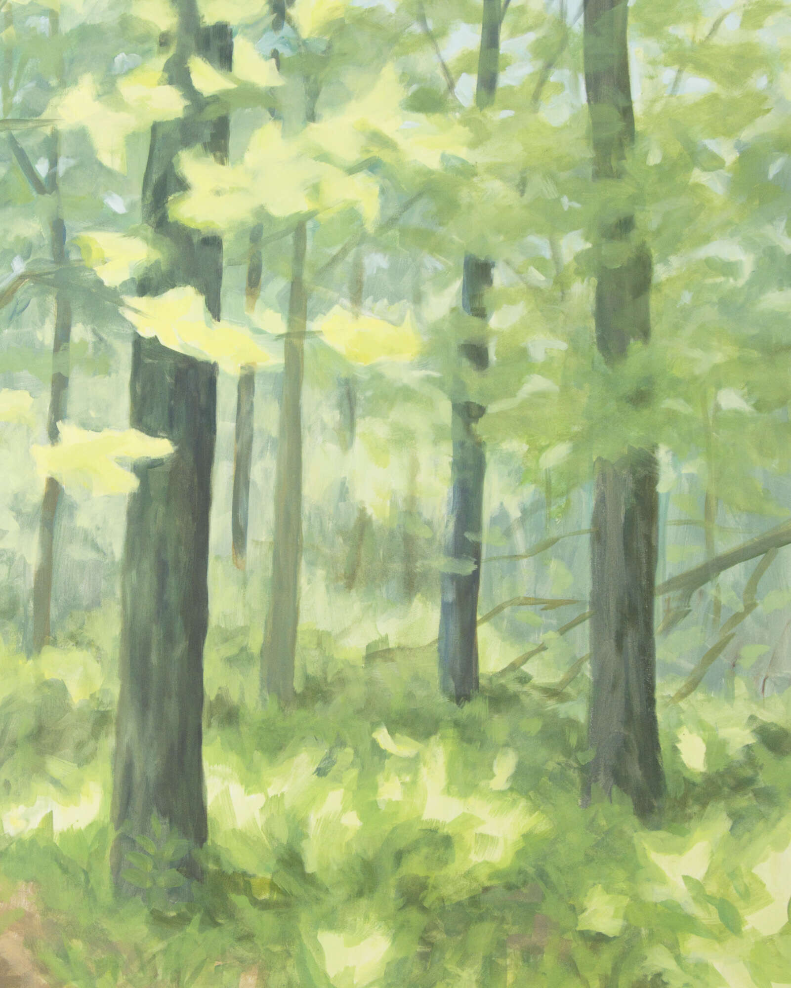 Zartes Grün II - Janna Schnoor 4