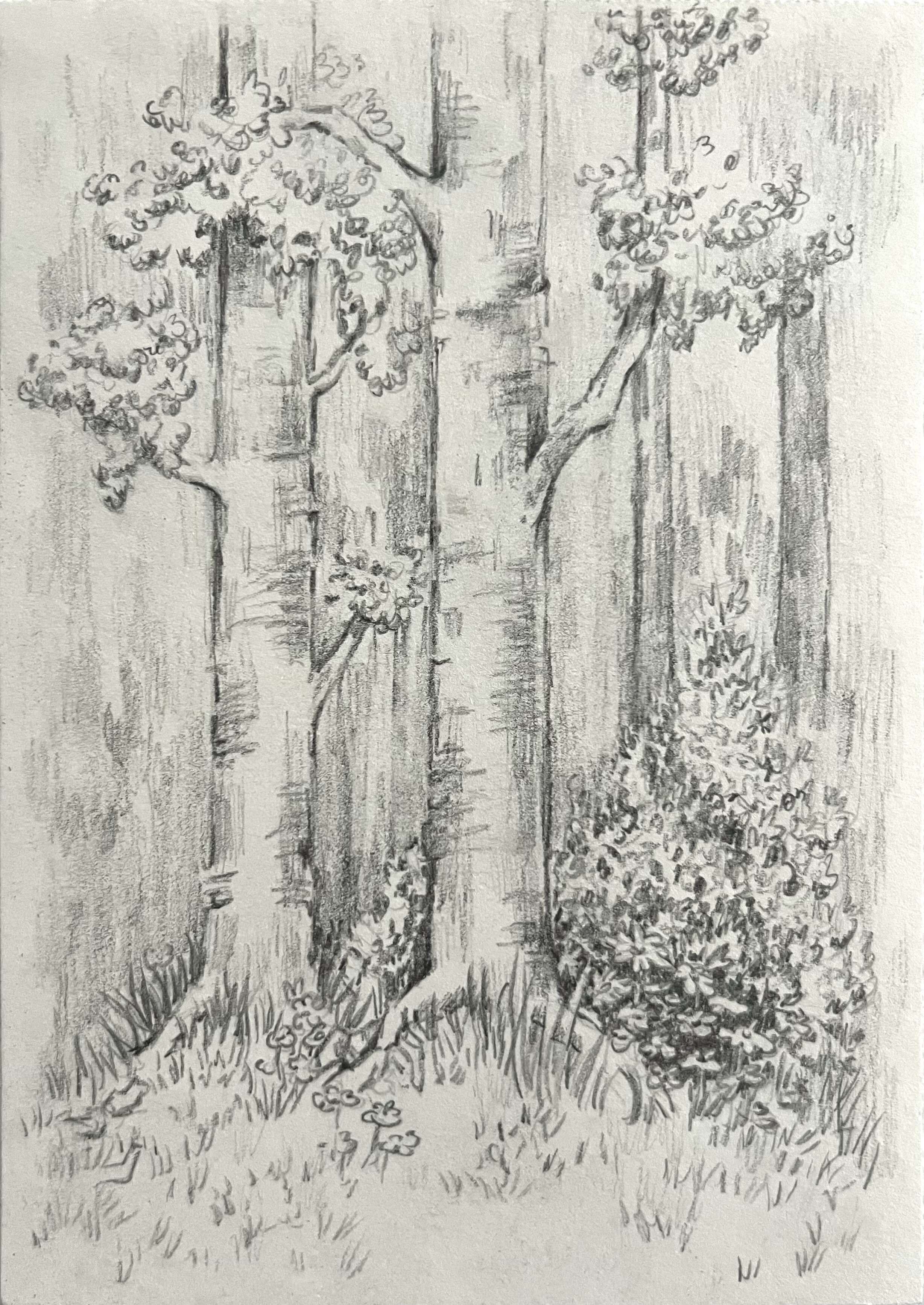 Waldlauf - Paula Victoria Aldea 1