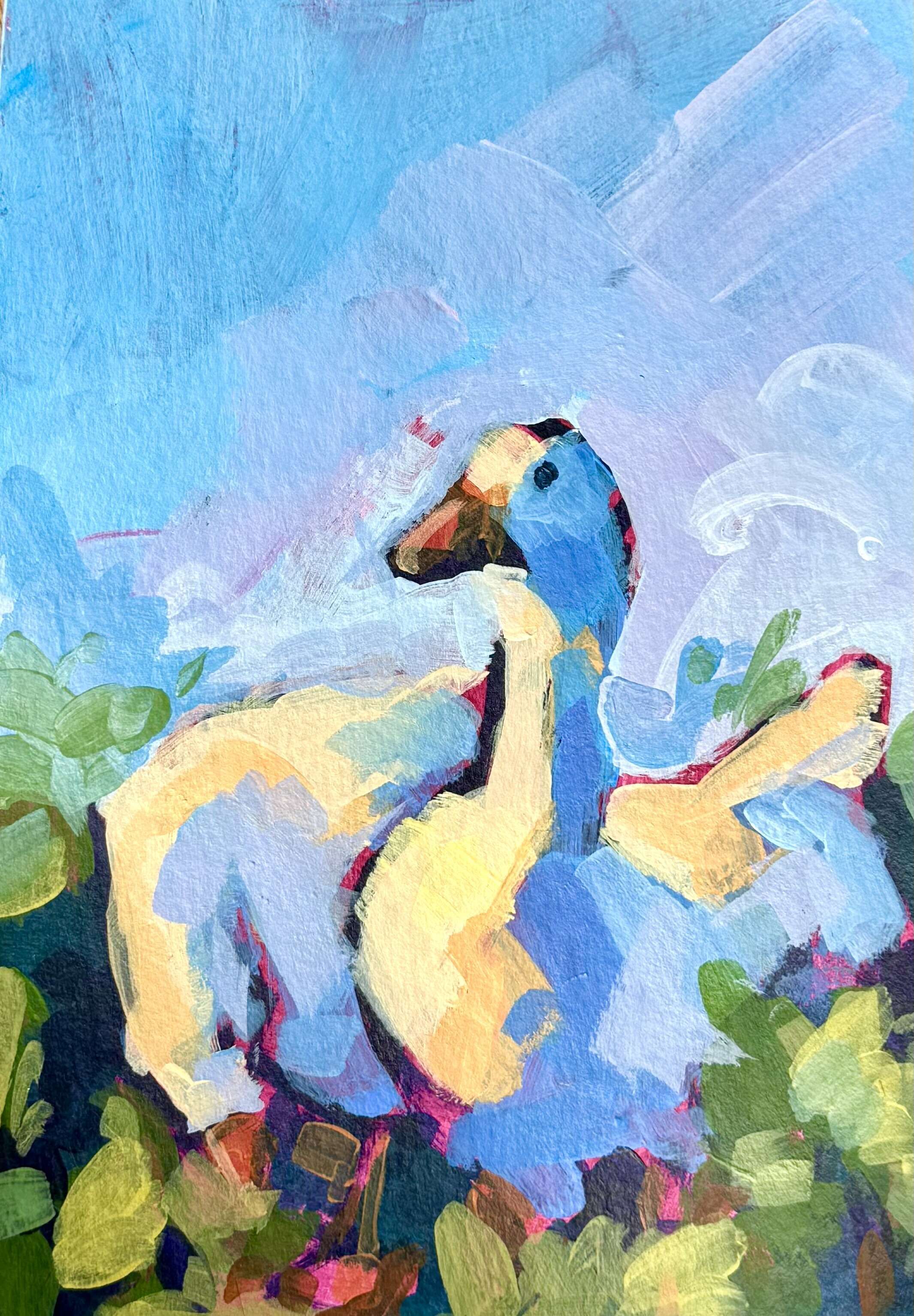 Huisgans - Daniel Heimgärtner 1