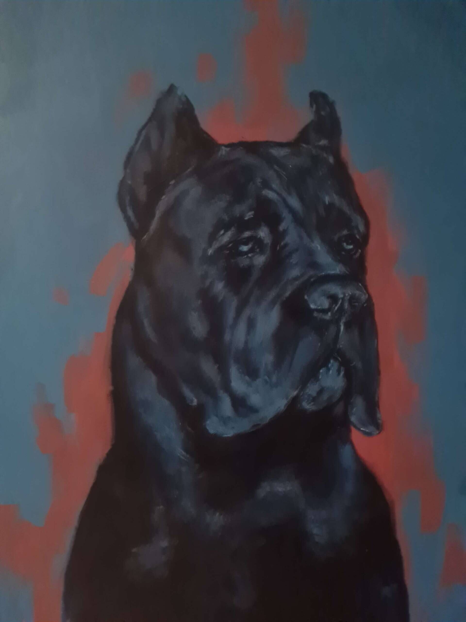 El cane - Kontrabanda 2