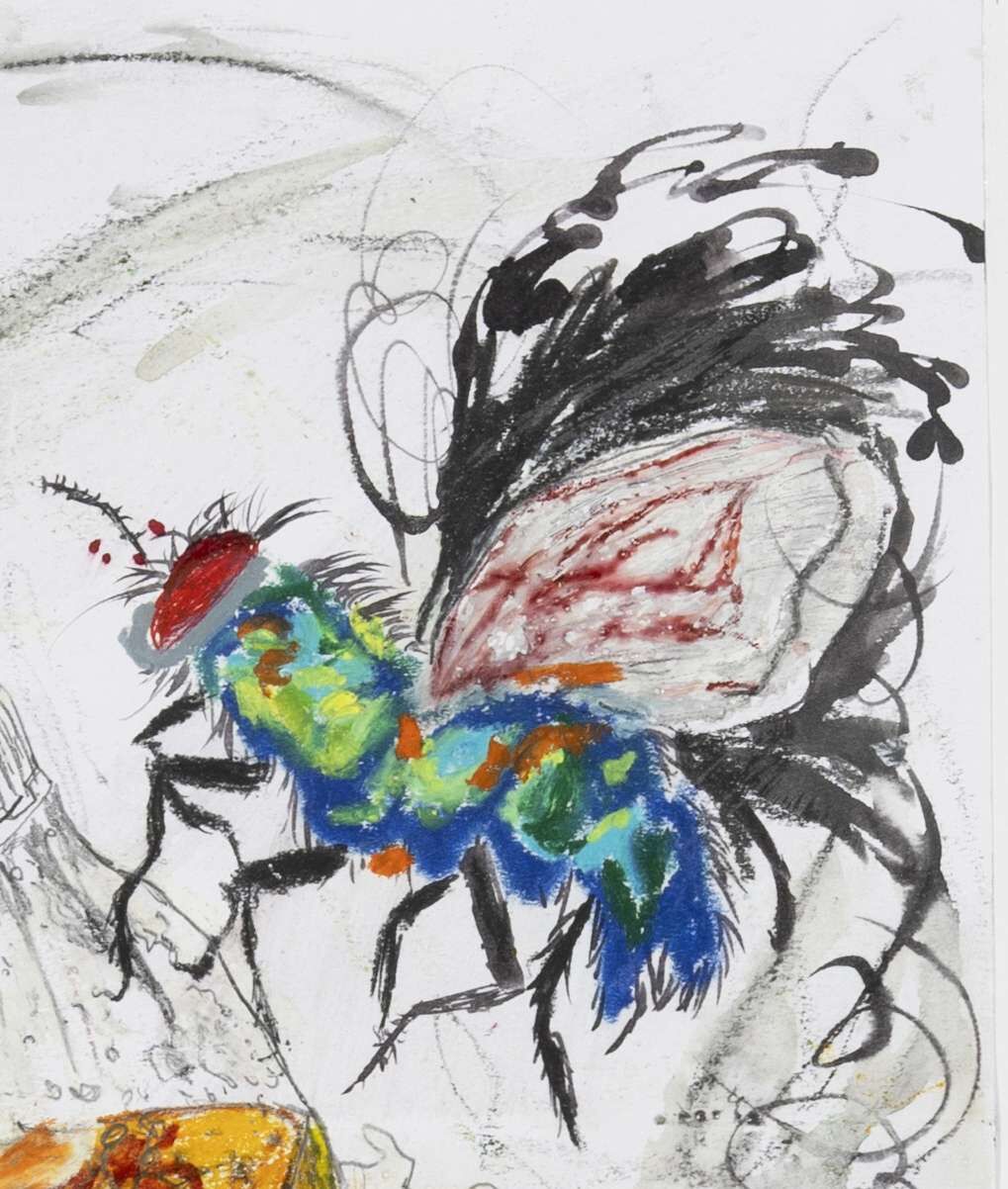 Fliegenstudie III - Boramee Kim 2