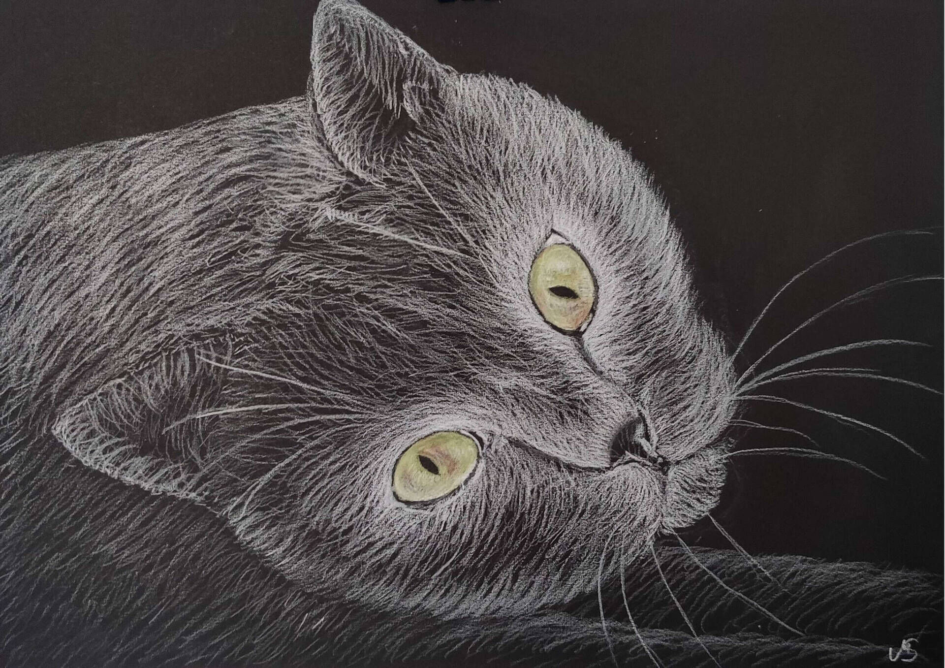 Clara - Milena Simonis 1