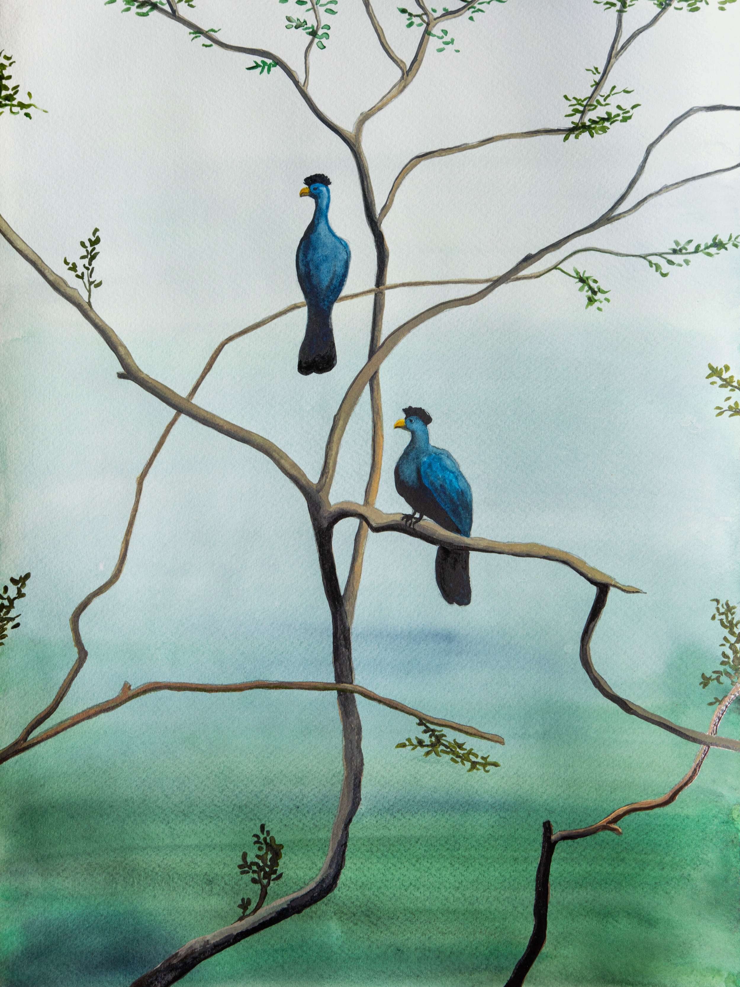 birds in the break of dawn - Alina Beck 1