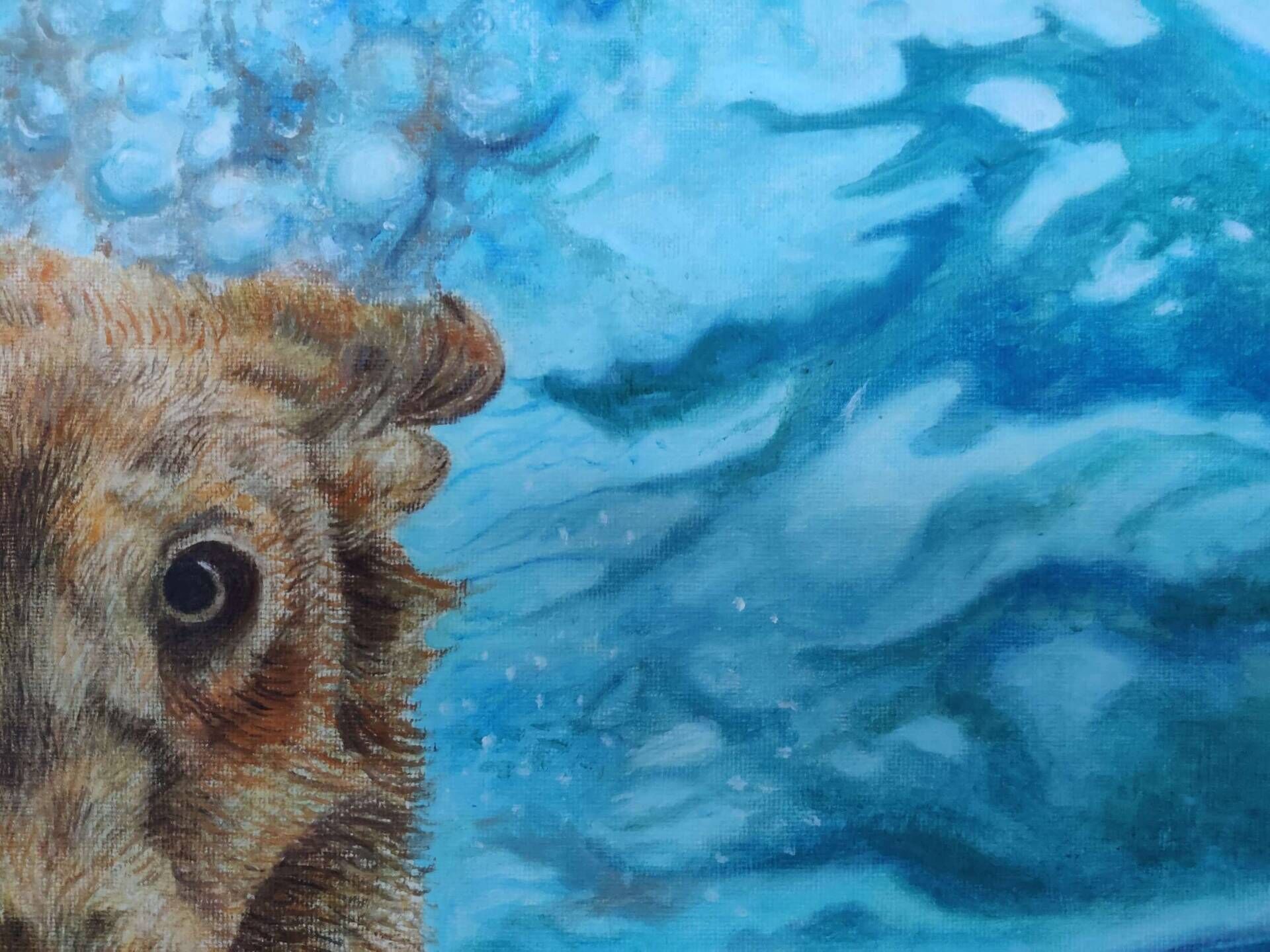 Seehund - Milena Simonis 6