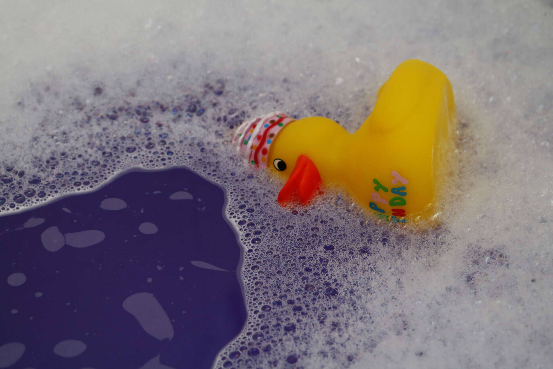 birthday duck - Tobias Rummel 1