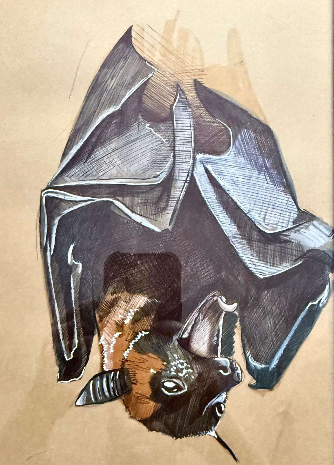 Bats - Laura Küpper 4