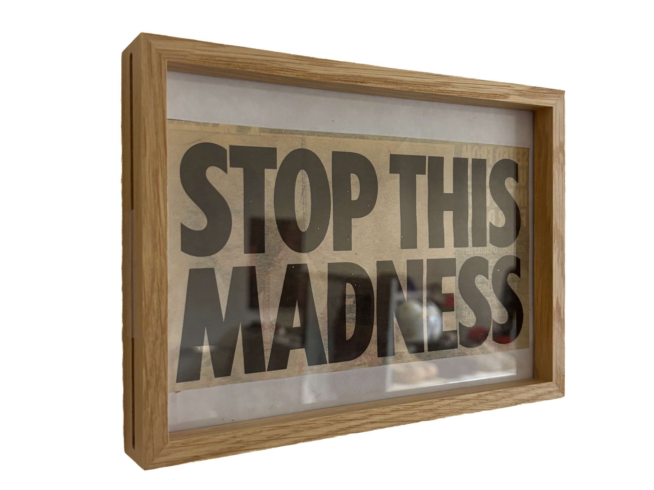 Stop the Madness - Lenny Renz 1