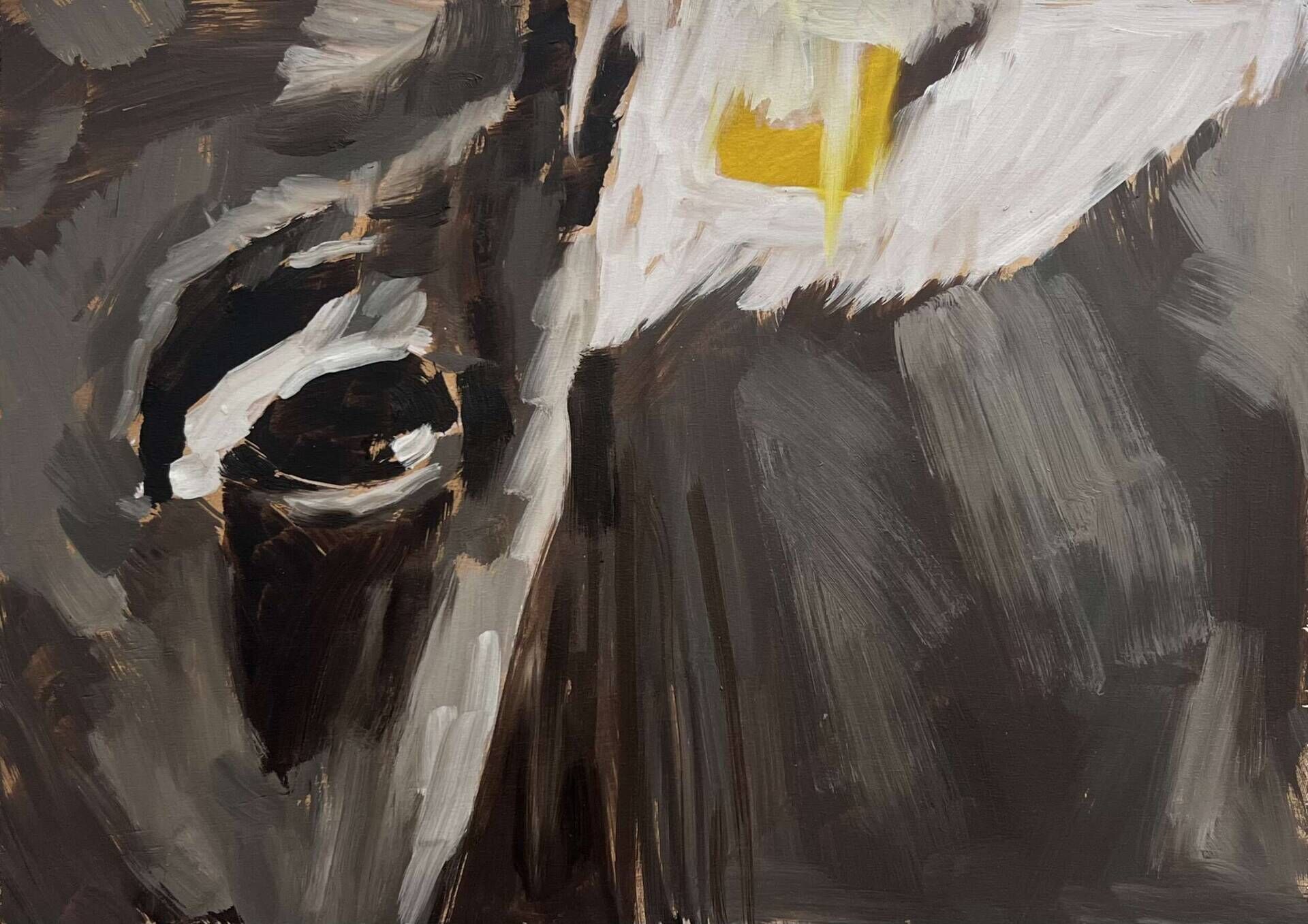 Kühe 3 - Ilva Gsottschneider 1