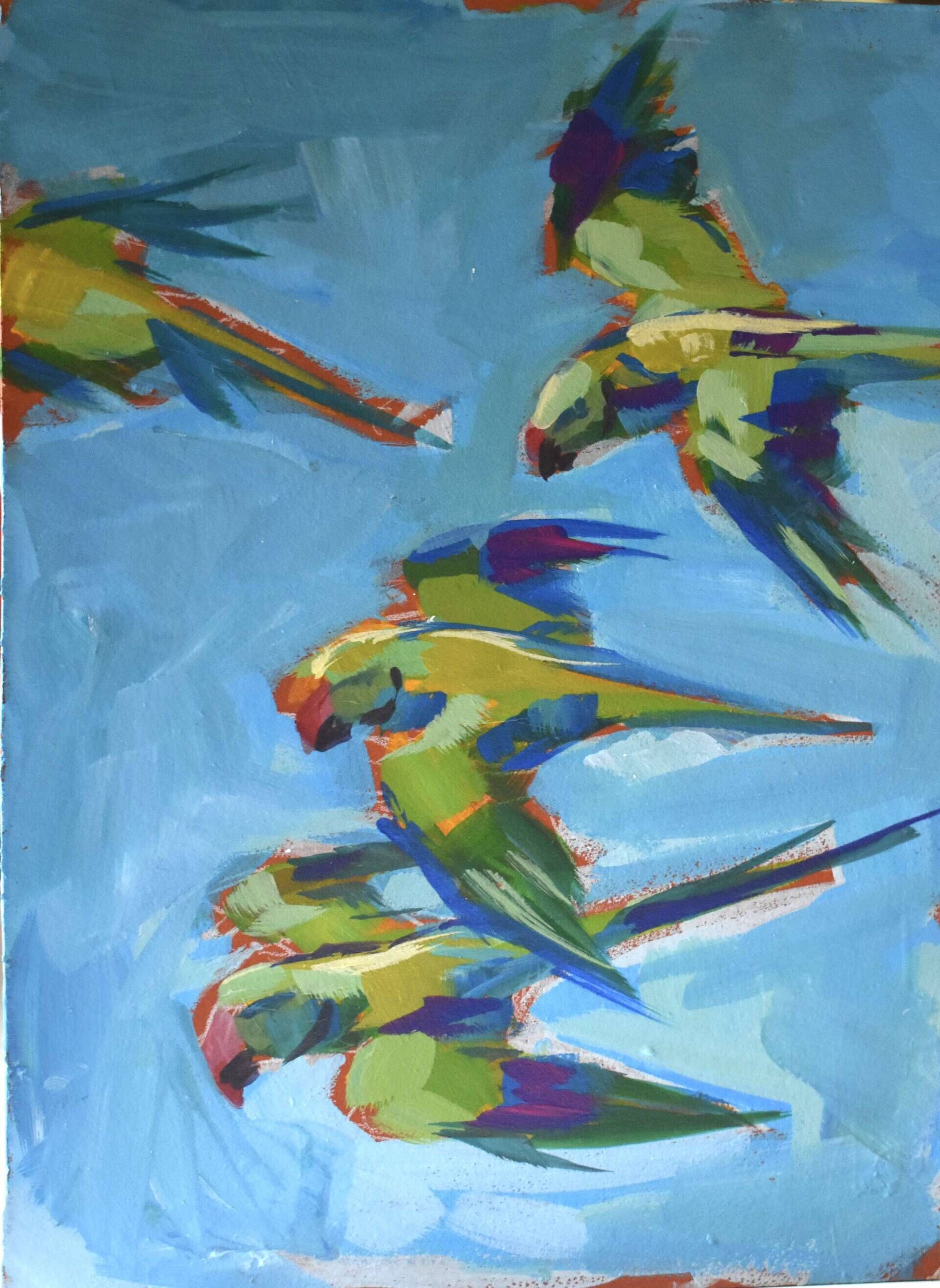 Halsbandsittiche - Alica Pratsch 1