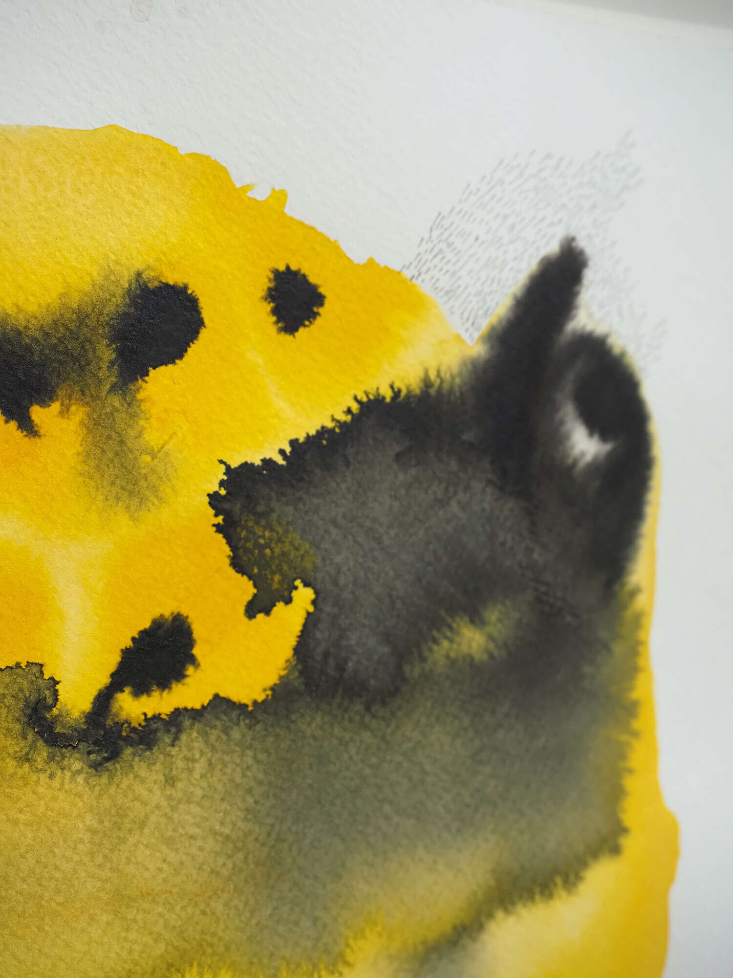 Microverse 10/12 - Vicky Anna Lardschneider 2