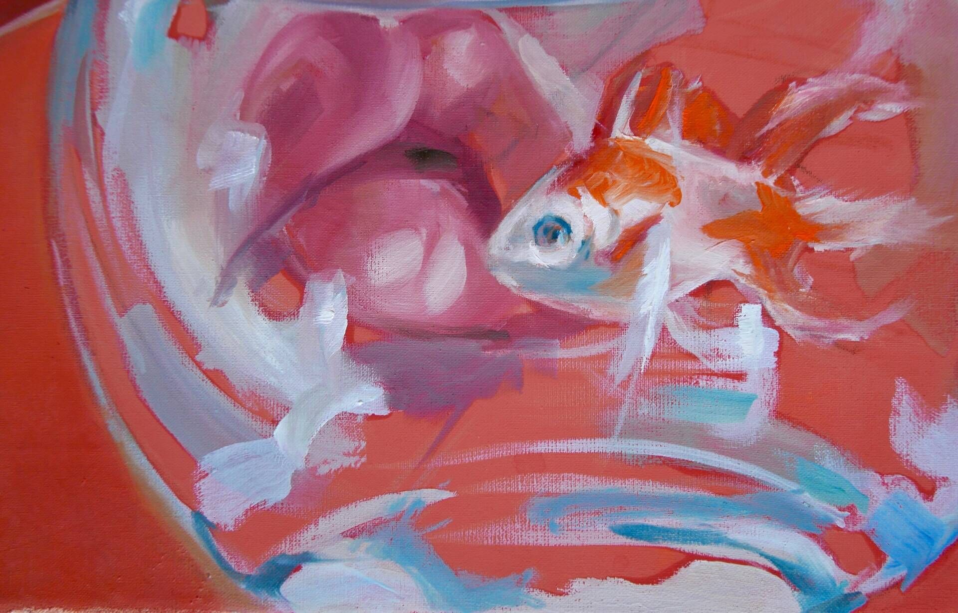 Goldfischen - Rosalie 1
