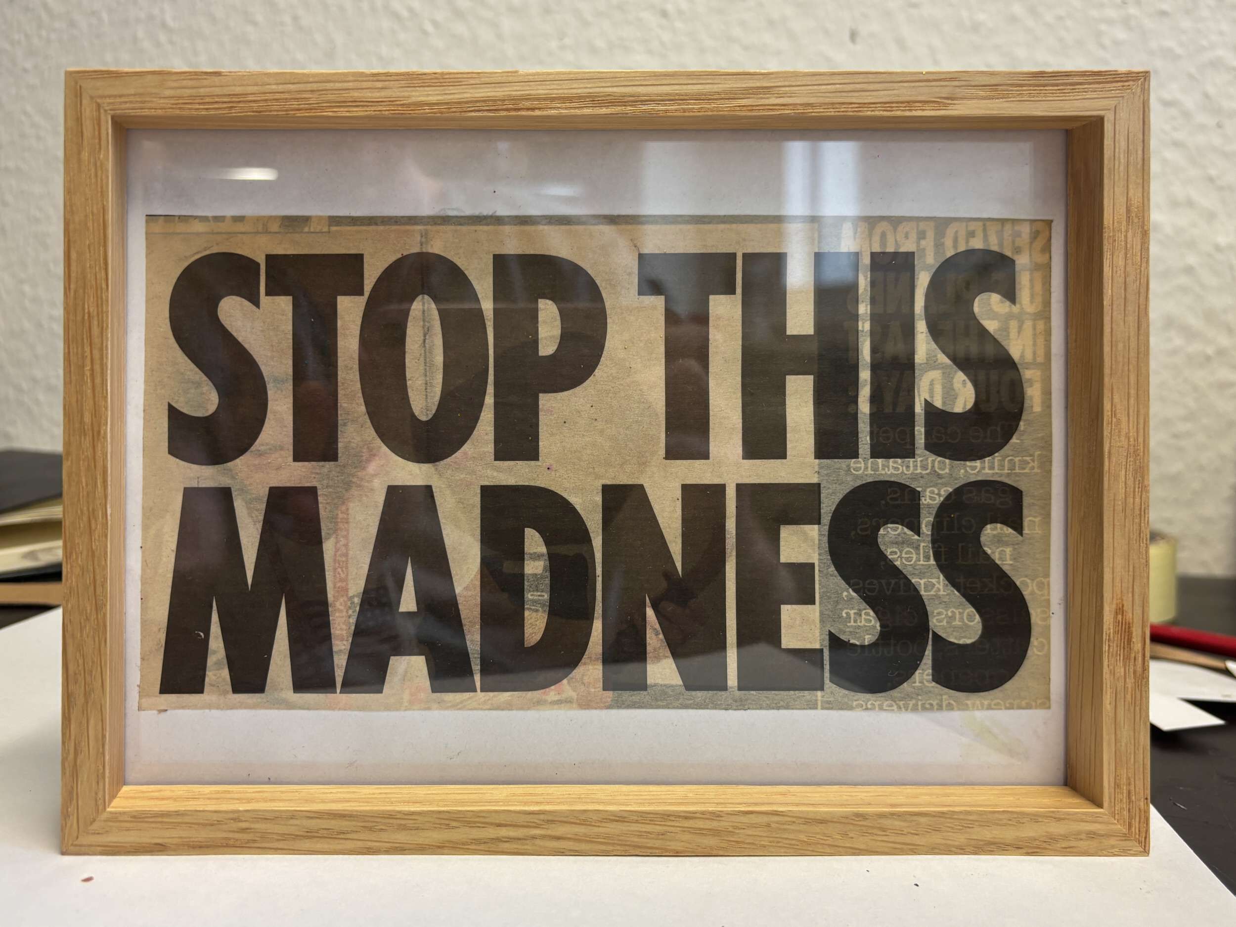 Stop the Madness - Lenny Renz 5