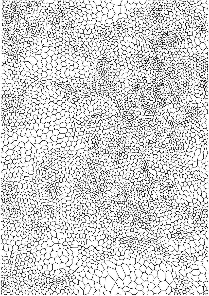 Netzstudie VI - Paula-Maryla Schmoll 1