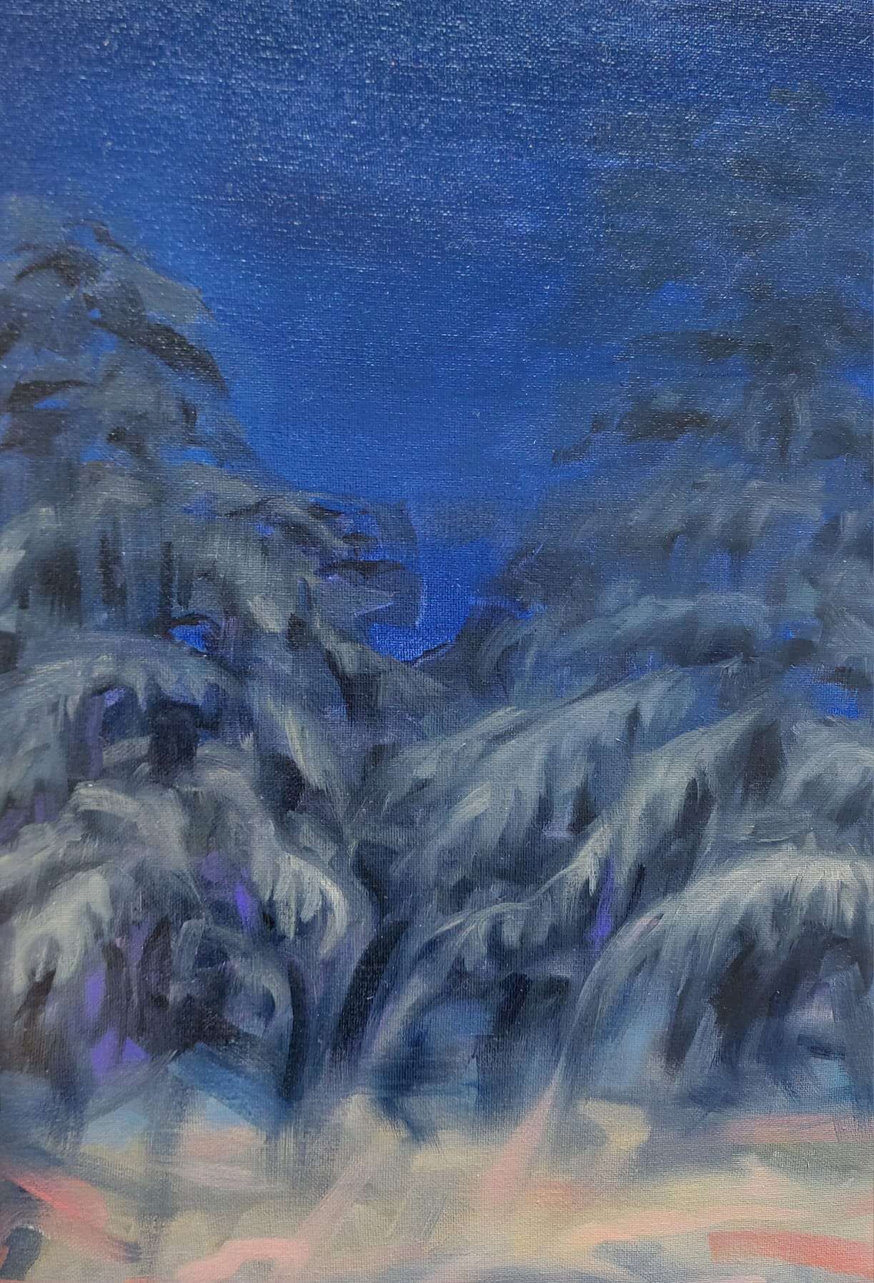 Zedern bei Nacht - Alexander Straub 5