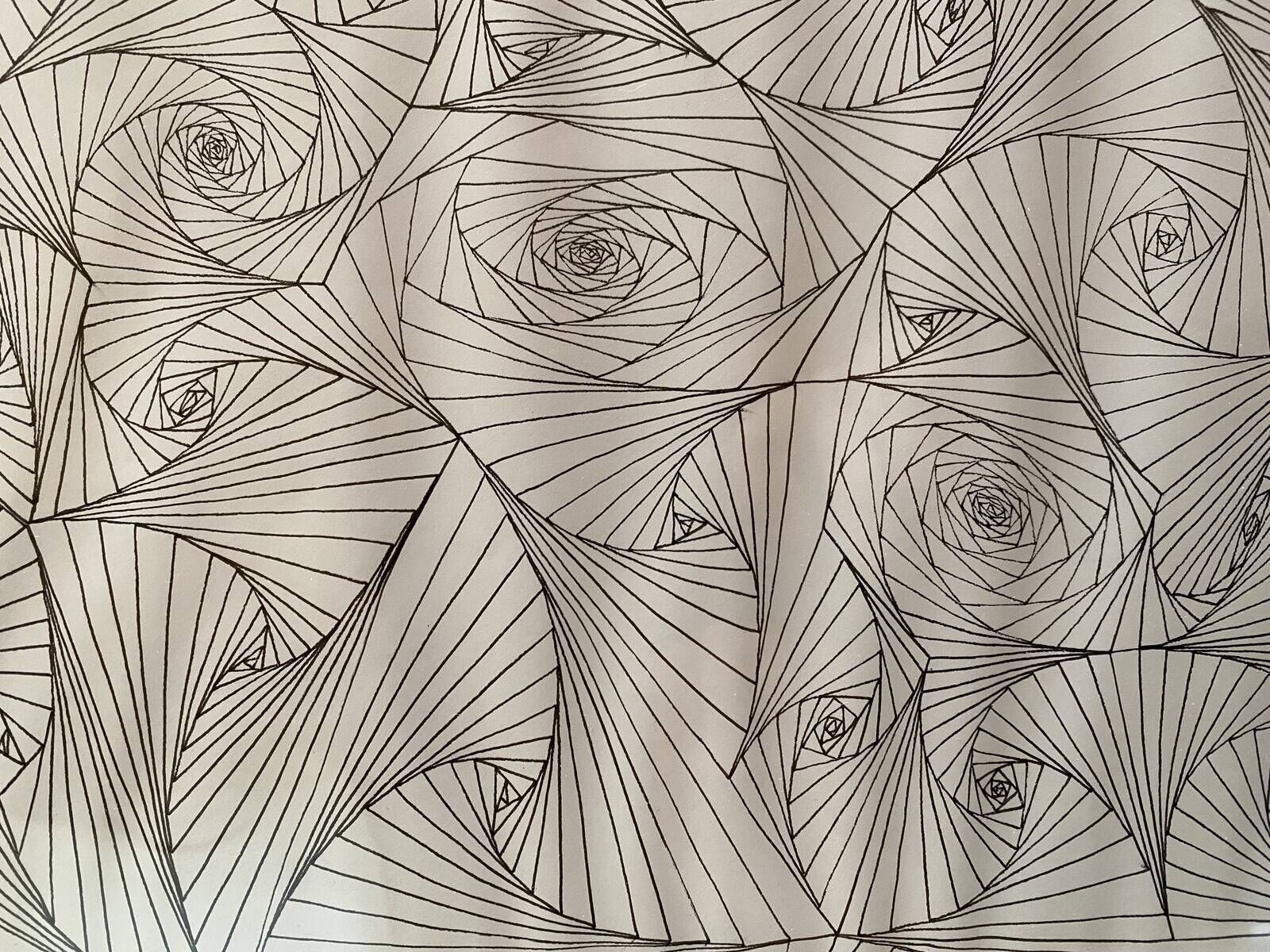 Netzstudie X - Paula-Maryla Schmoll 1
