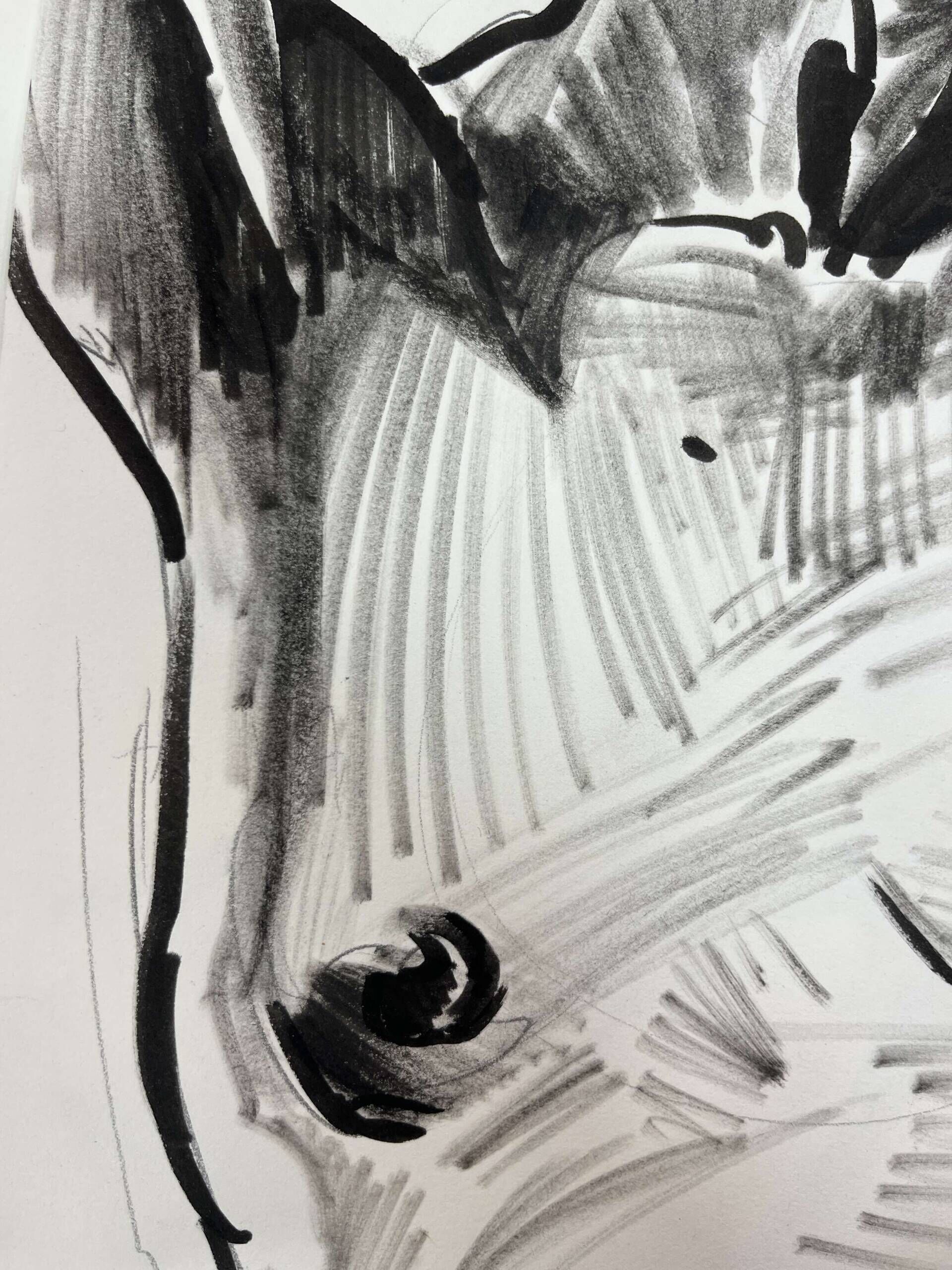 Männertorso mit erhobenen Armen - Leon Tho Barwig 3