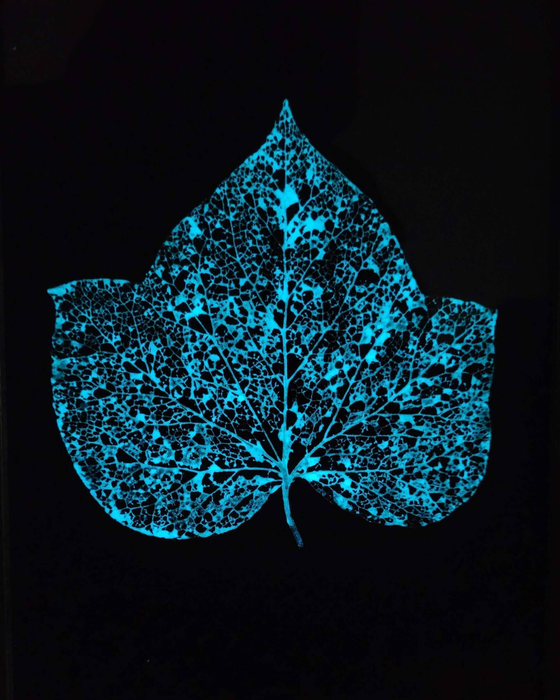 Inner Glow - Manou Wistoff 6