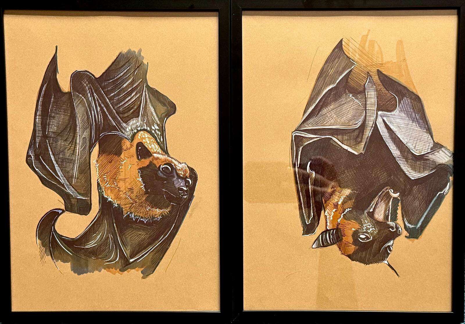 Bats - Laura Küpper 1