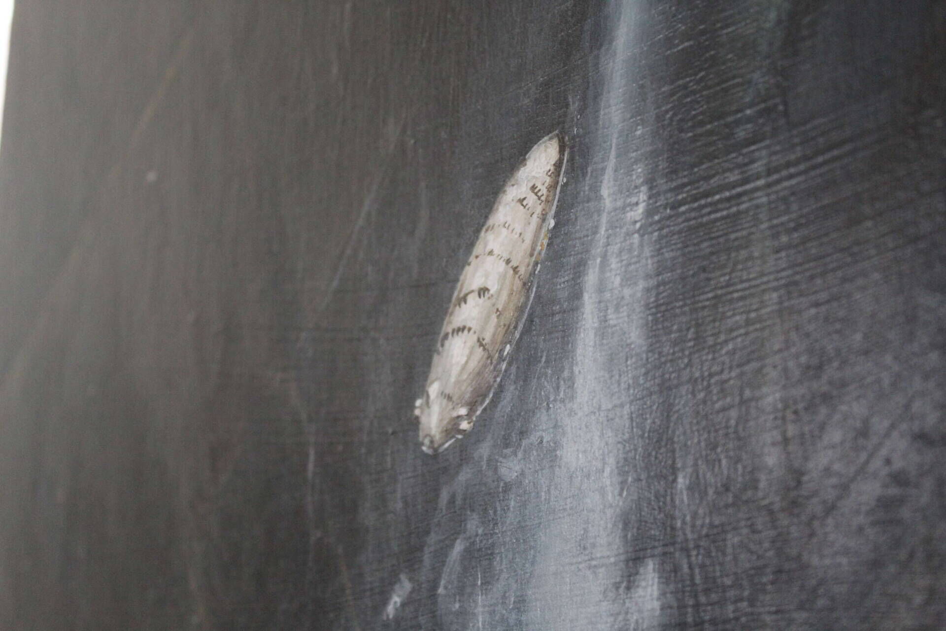 Passage - Tom Peter 1