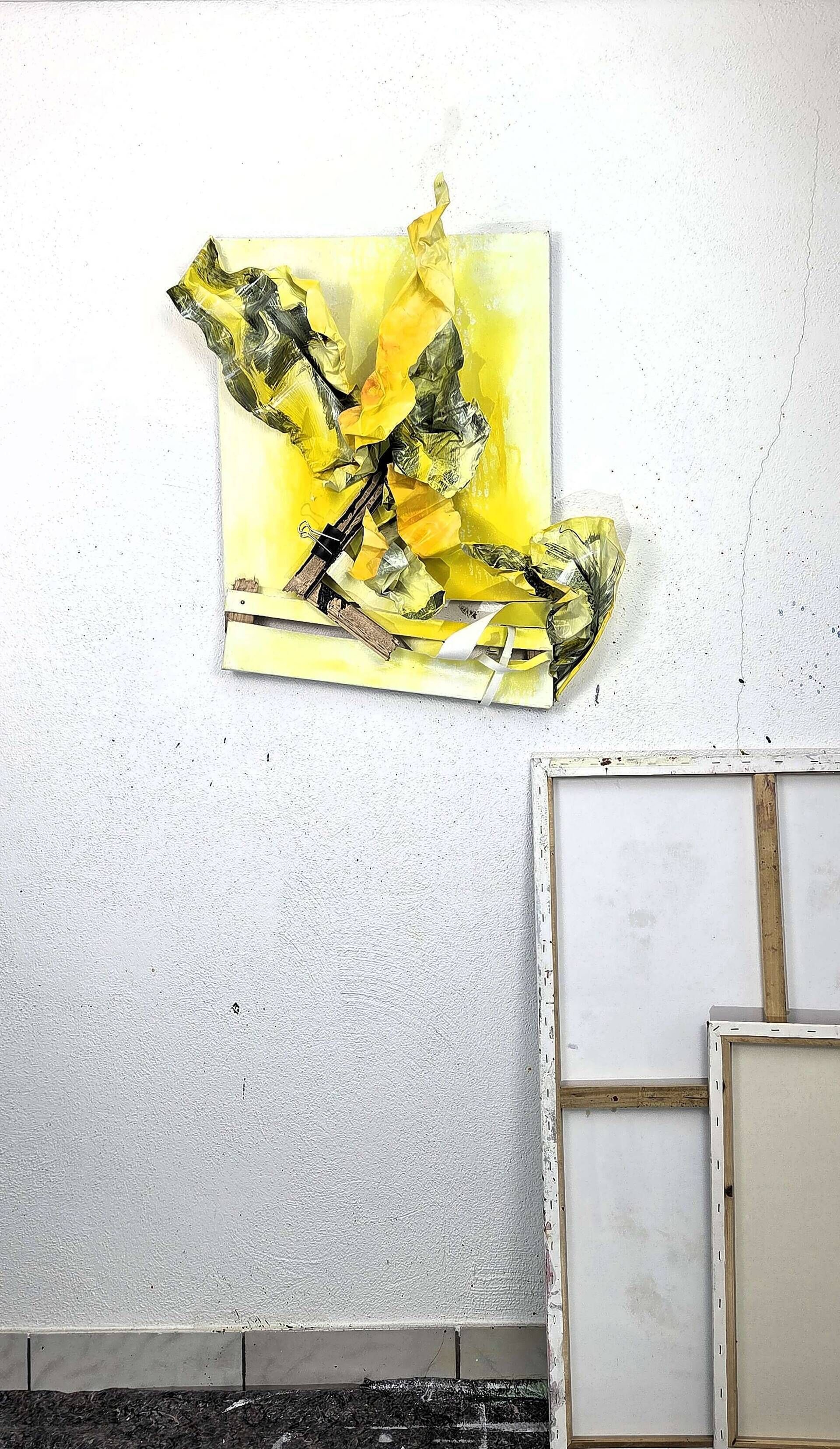 Opus compositum: Opera 01-0925 - Vesna  Faiazza  1