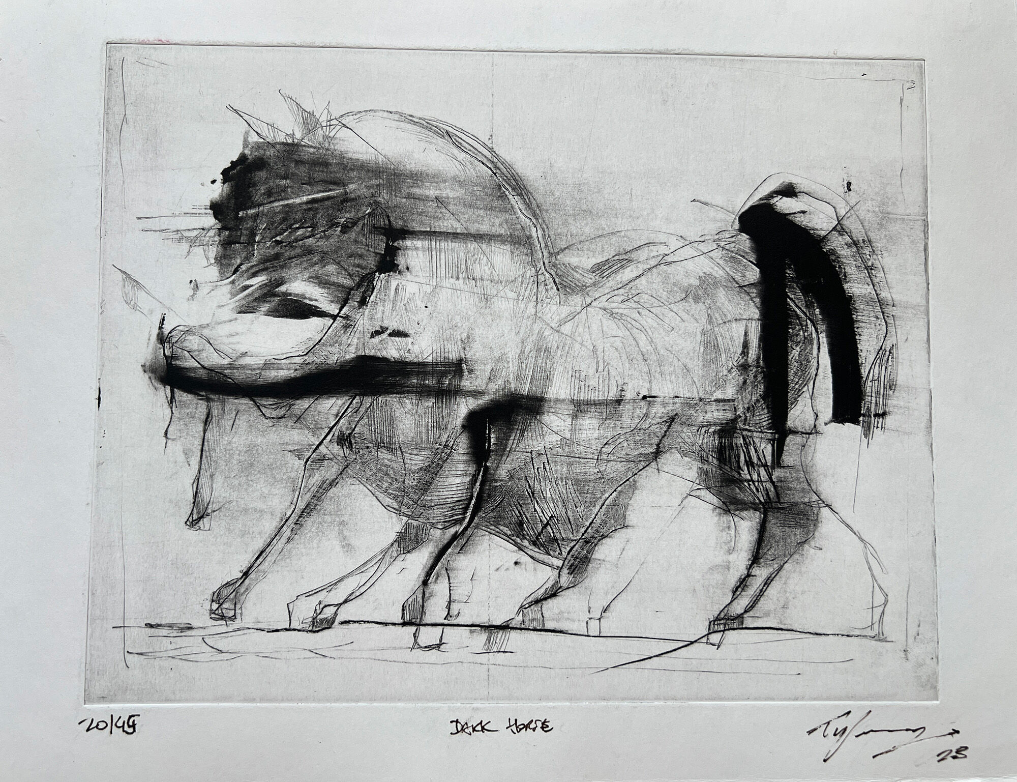 DARK HORSE 20 / 45  - Tyler Heidenwag 1