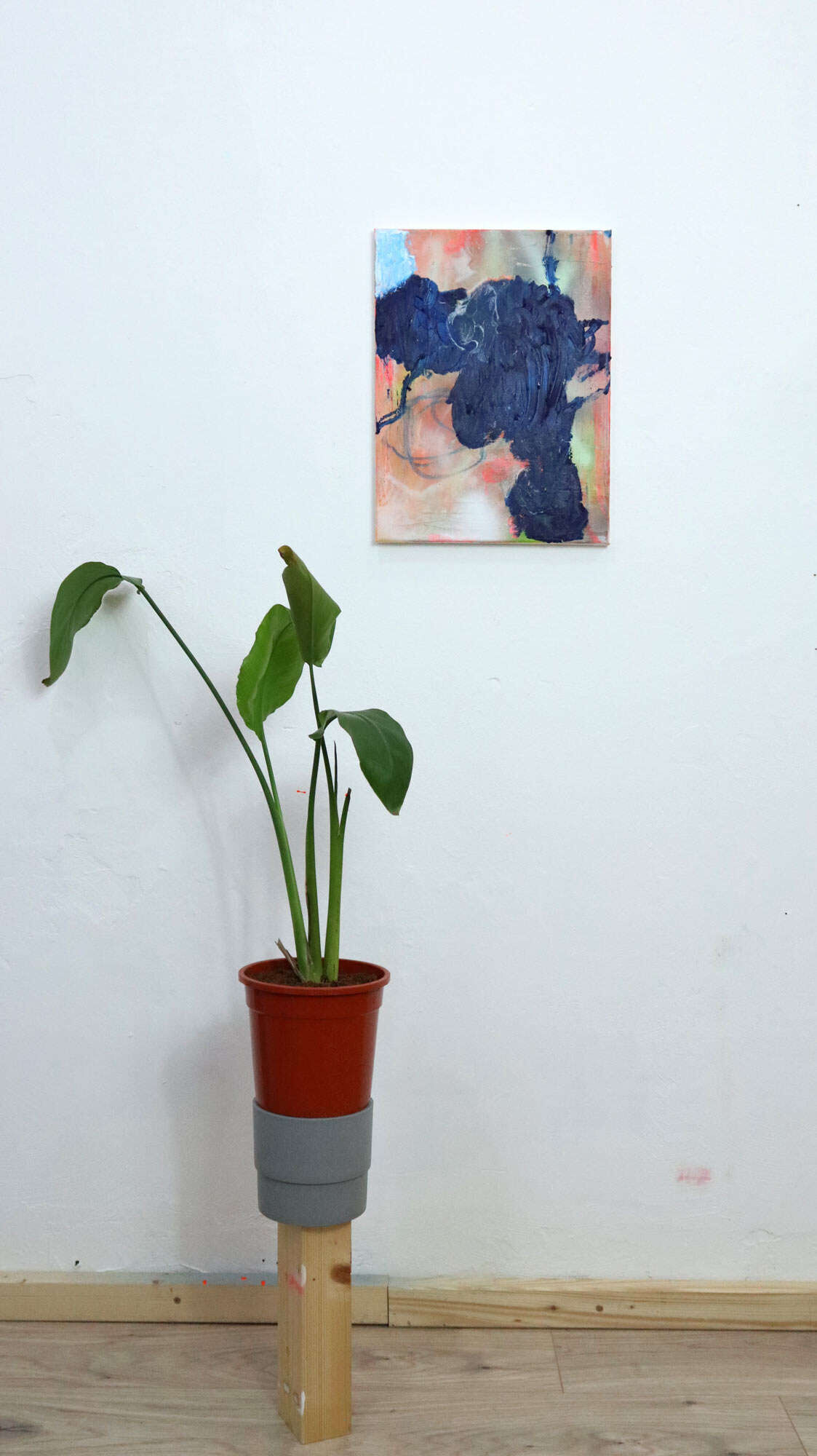 Follow - Jana Gruszeninks 4