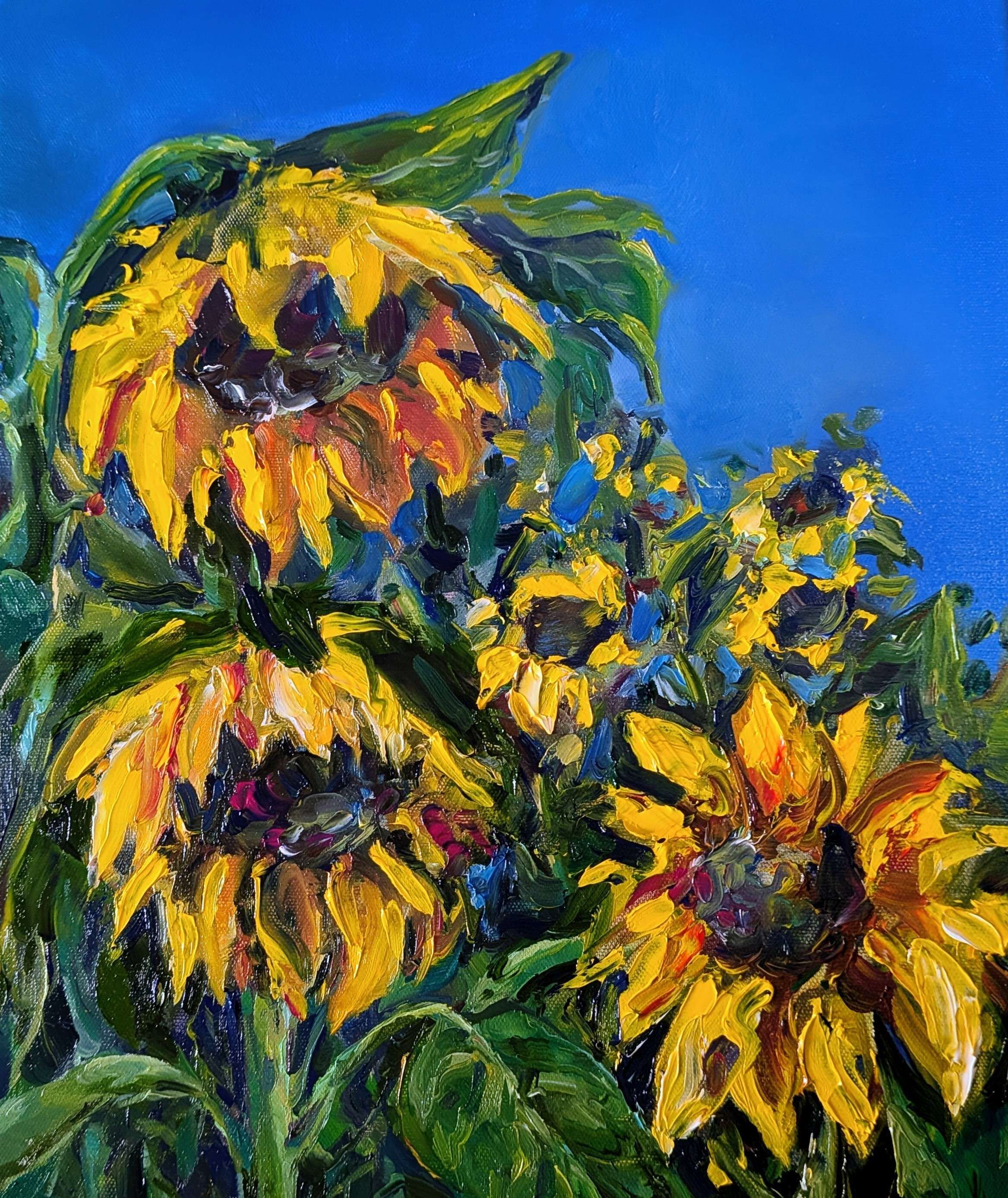 Sonnenblumen  - Yevheniia Fedosova 1