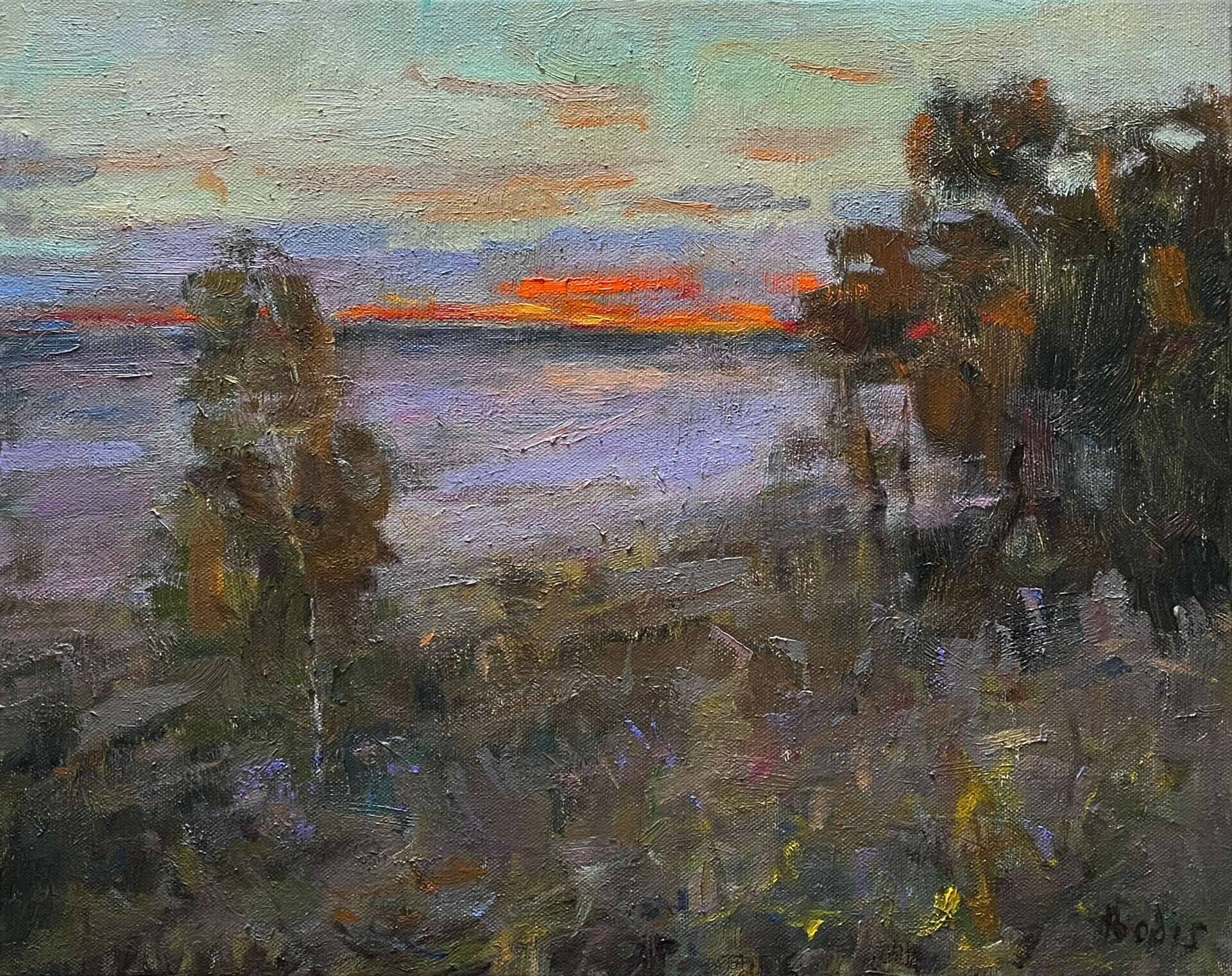 Foggy field - Bohdan  Dobrivskyi  1
