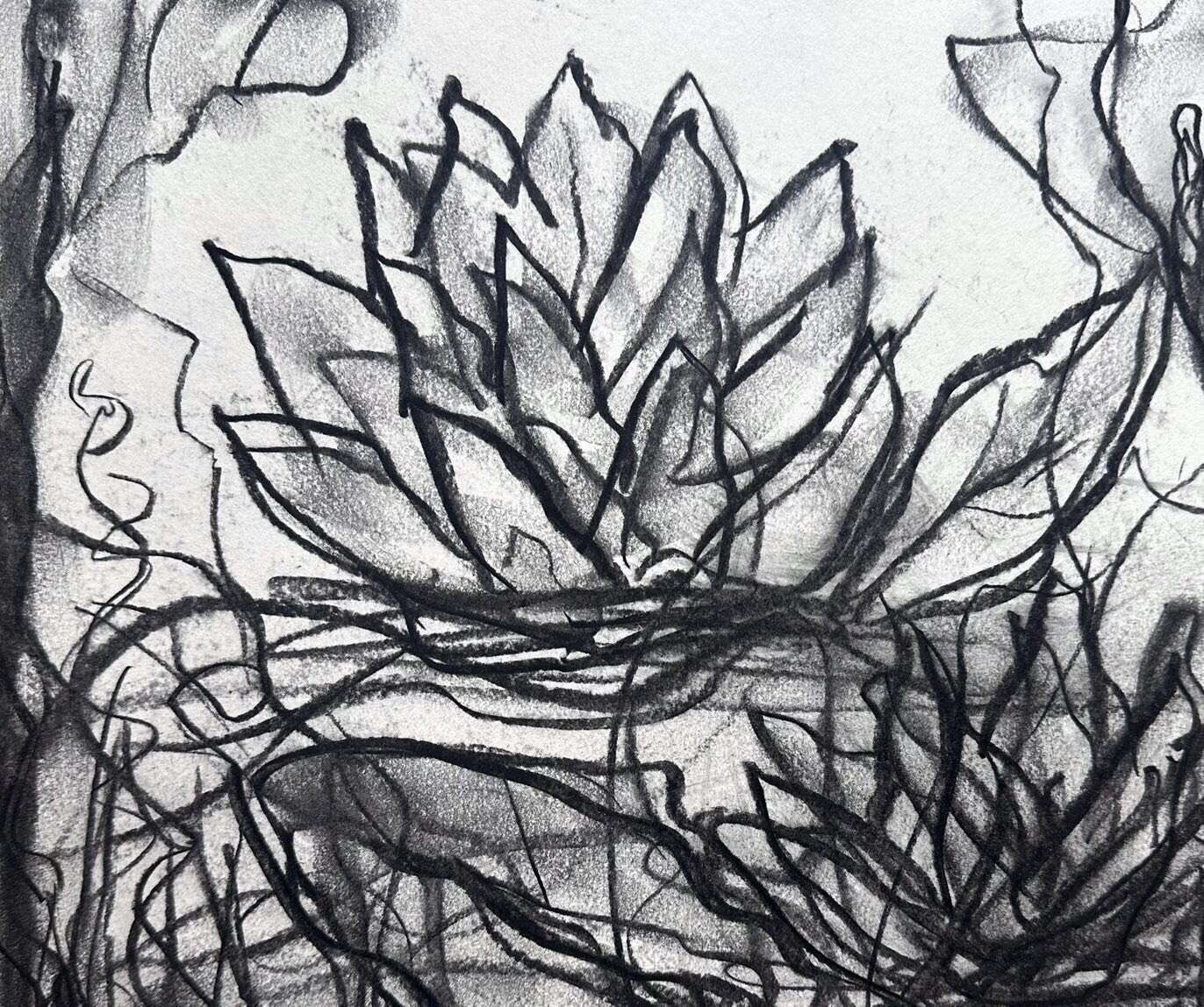 Storm Waterlilies  - Martina  Schepperle  2