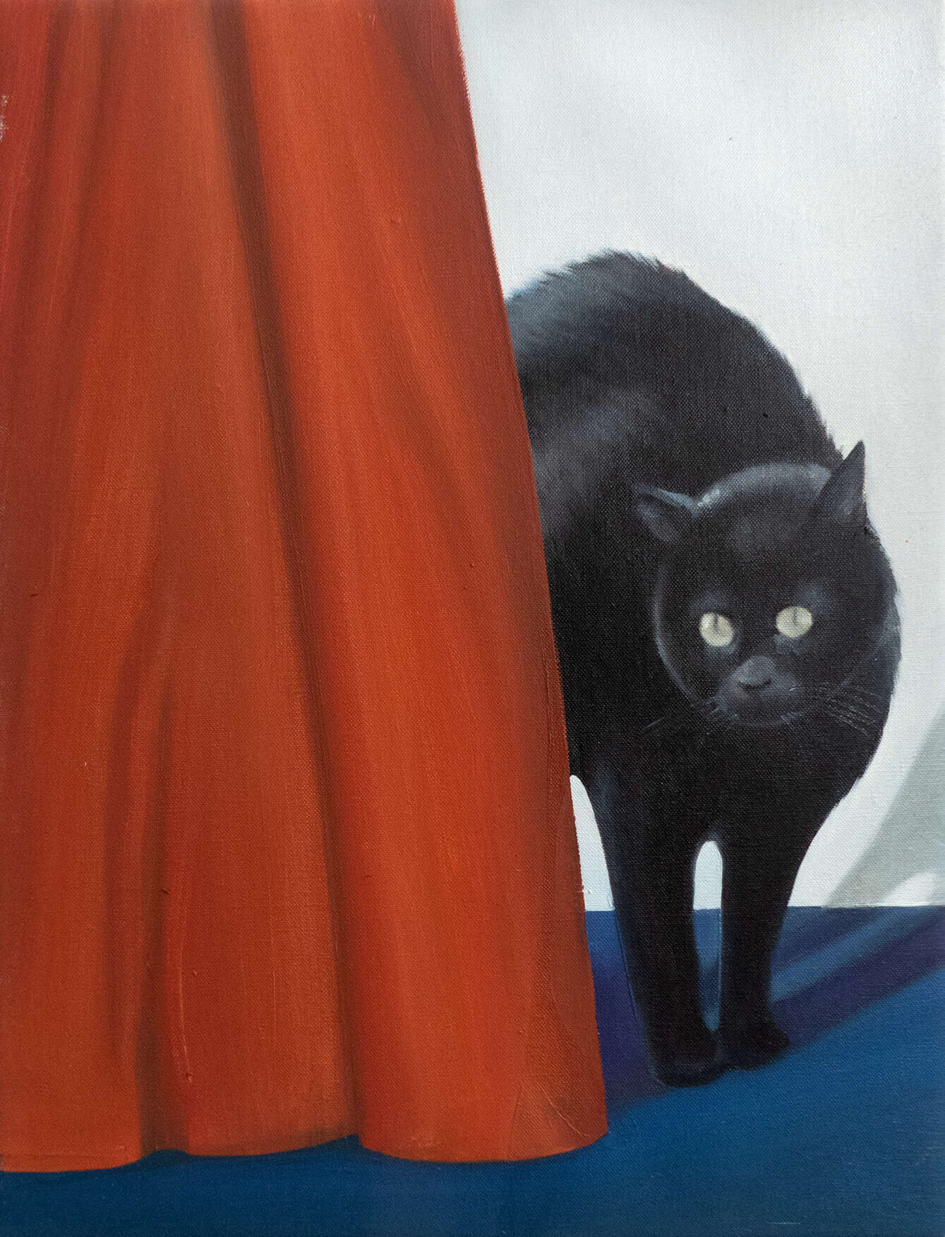 Gato erizado - Jo Failer 3
