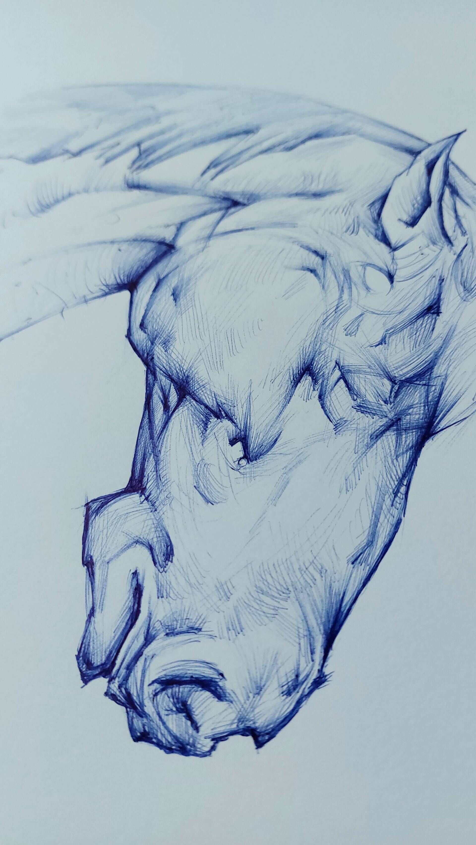 Pferdekopf - Alexander Straub 3