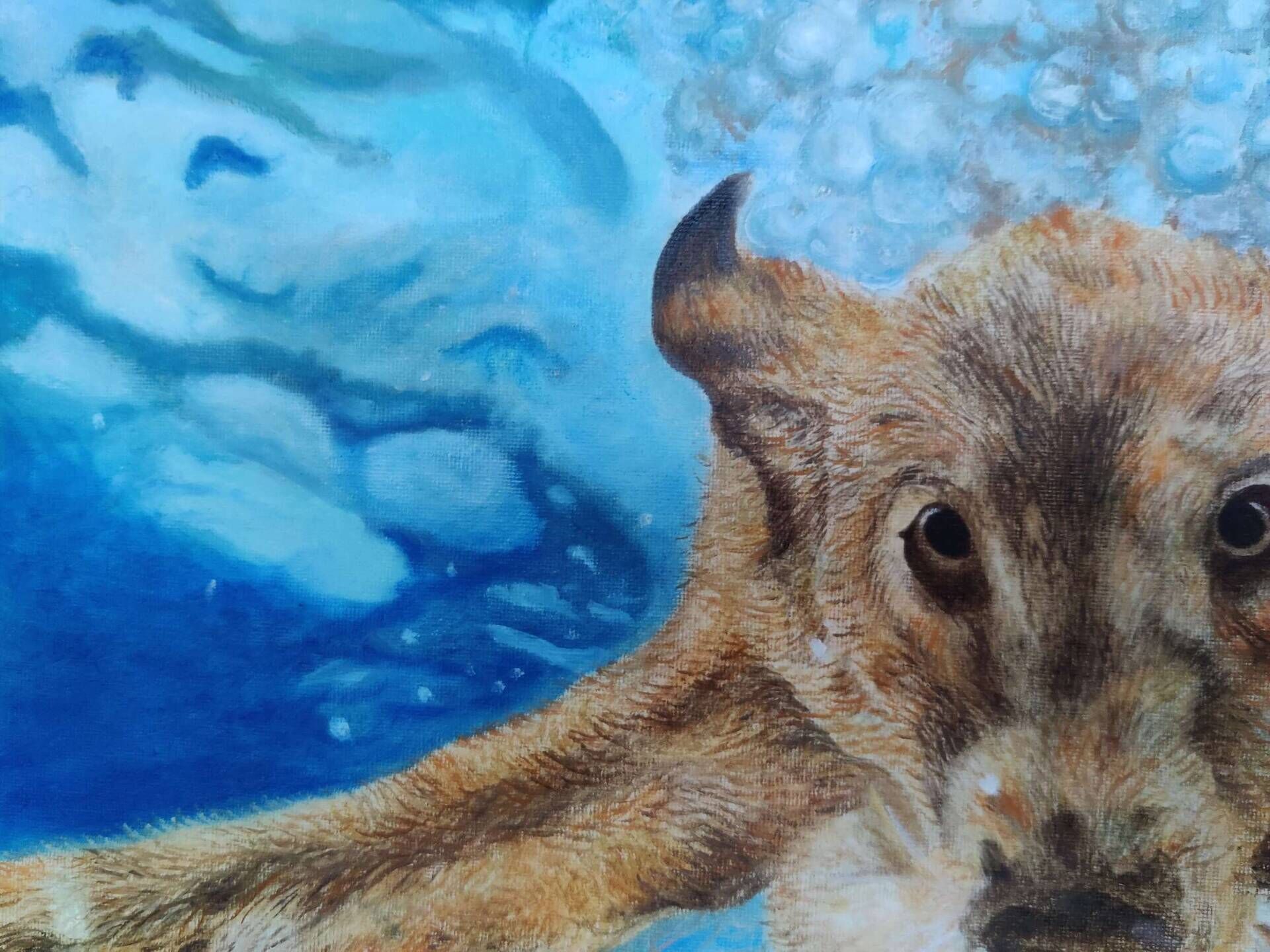 Seehund - Milena Simonis 8