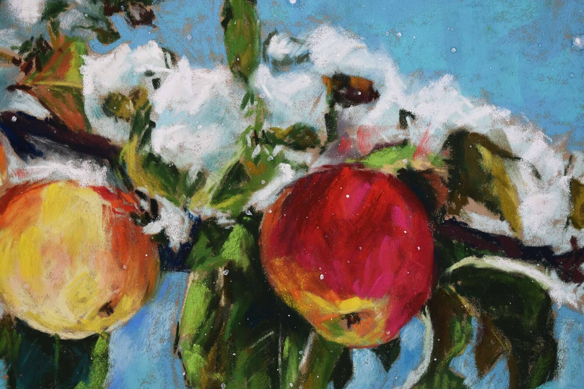 Wonder 2 - Elza Slo 3