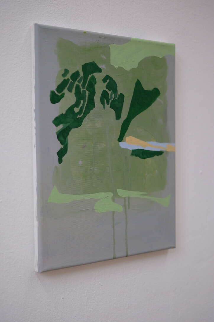 Mikroskopische Landkarte - Cong Cong 5