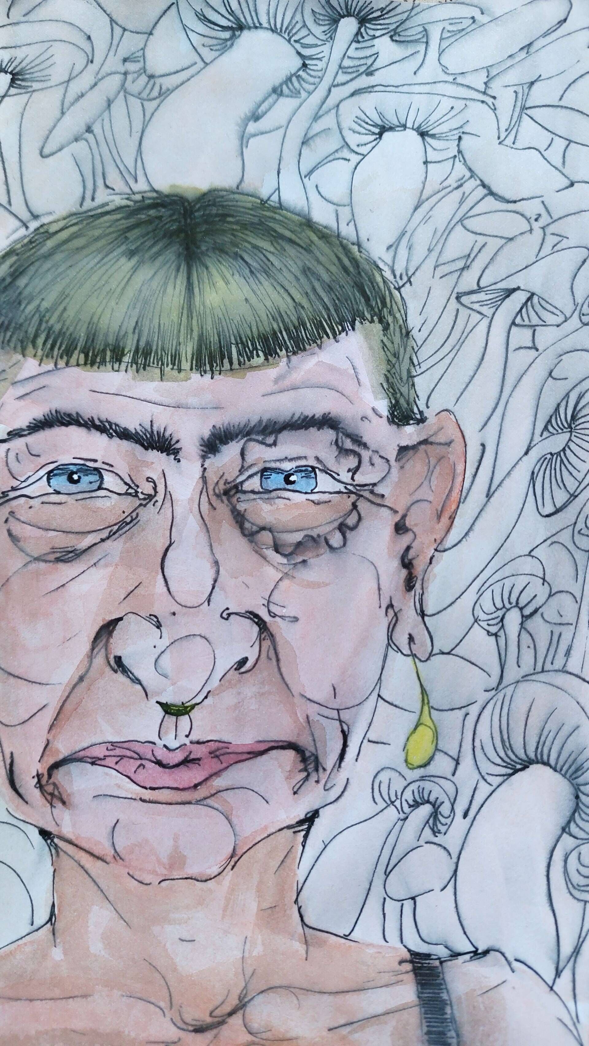 Pilze im Hintergrund  - Alexander Straub 4