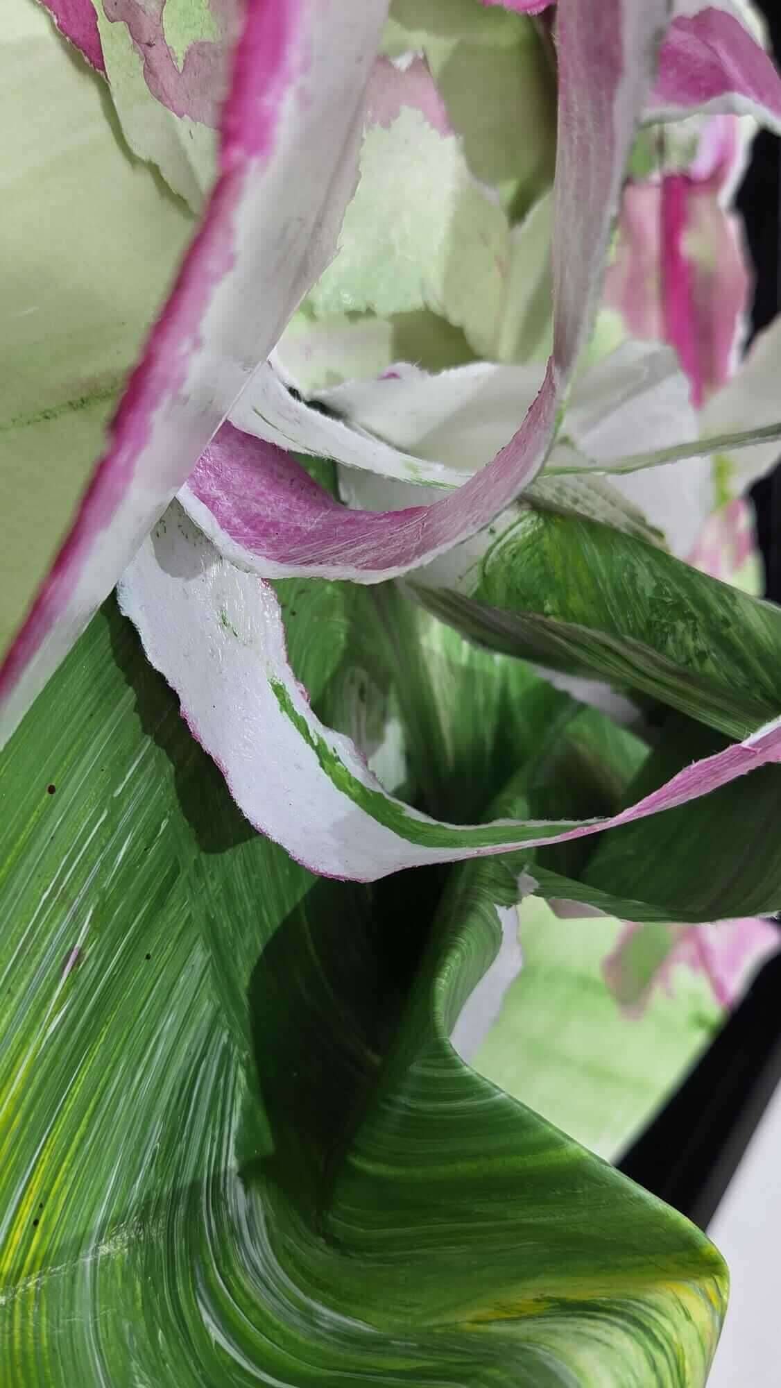 Opera 1-1025B - Vesna  Faiazza  8