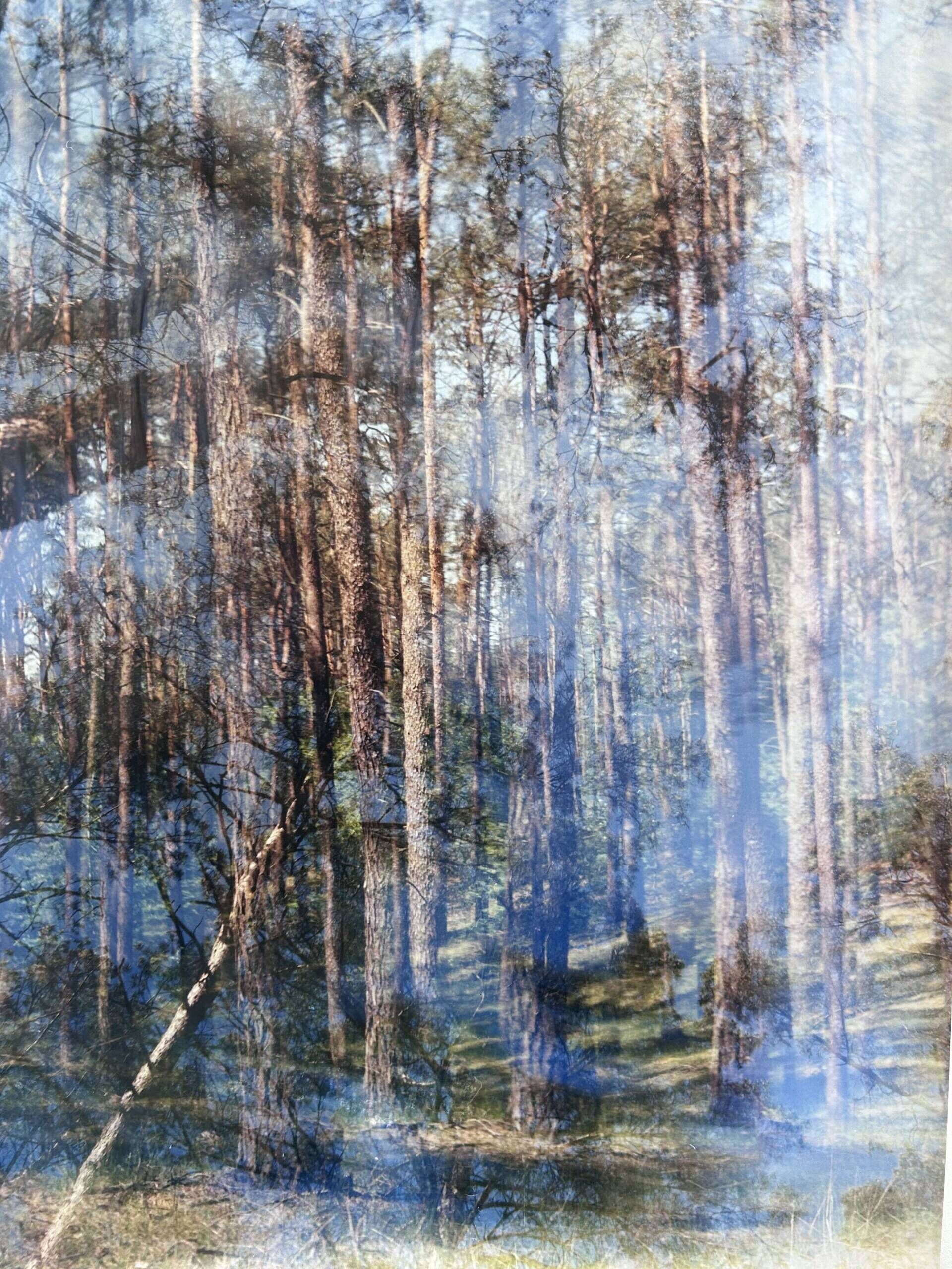 Wunderwald 2.0 - Luise Oswald 4