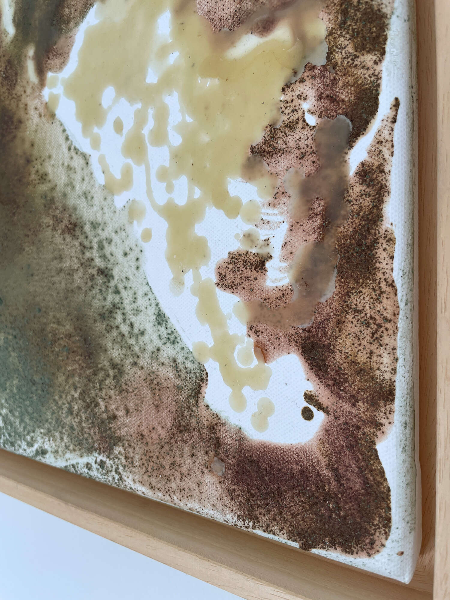 Echo der Natur - Vicky Anna Lardschneider 4