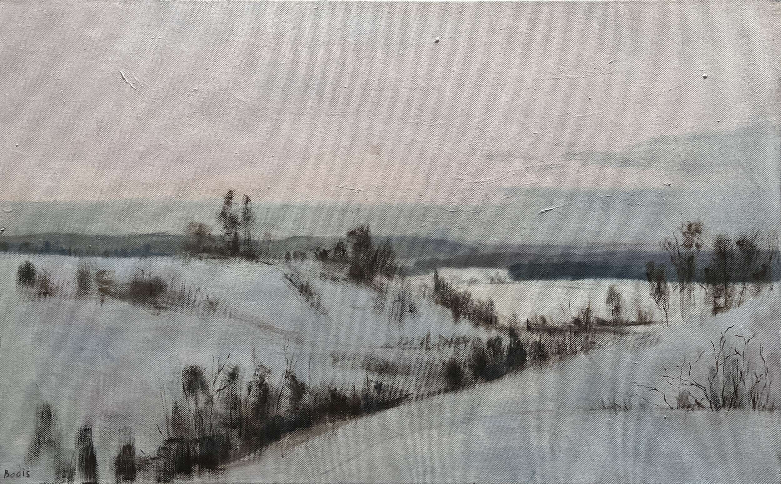 Winter's Tale - Bohdan  Dobrivskyi  1