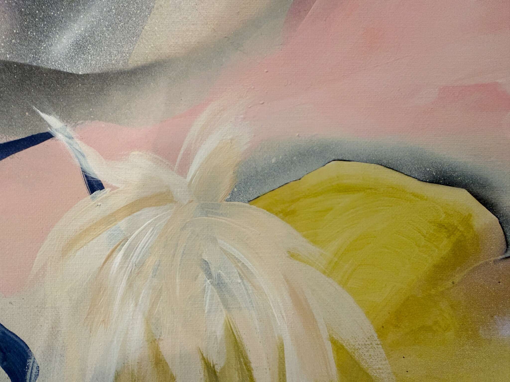 Flora NL 26-11351 - Brigitte Puschmann 2