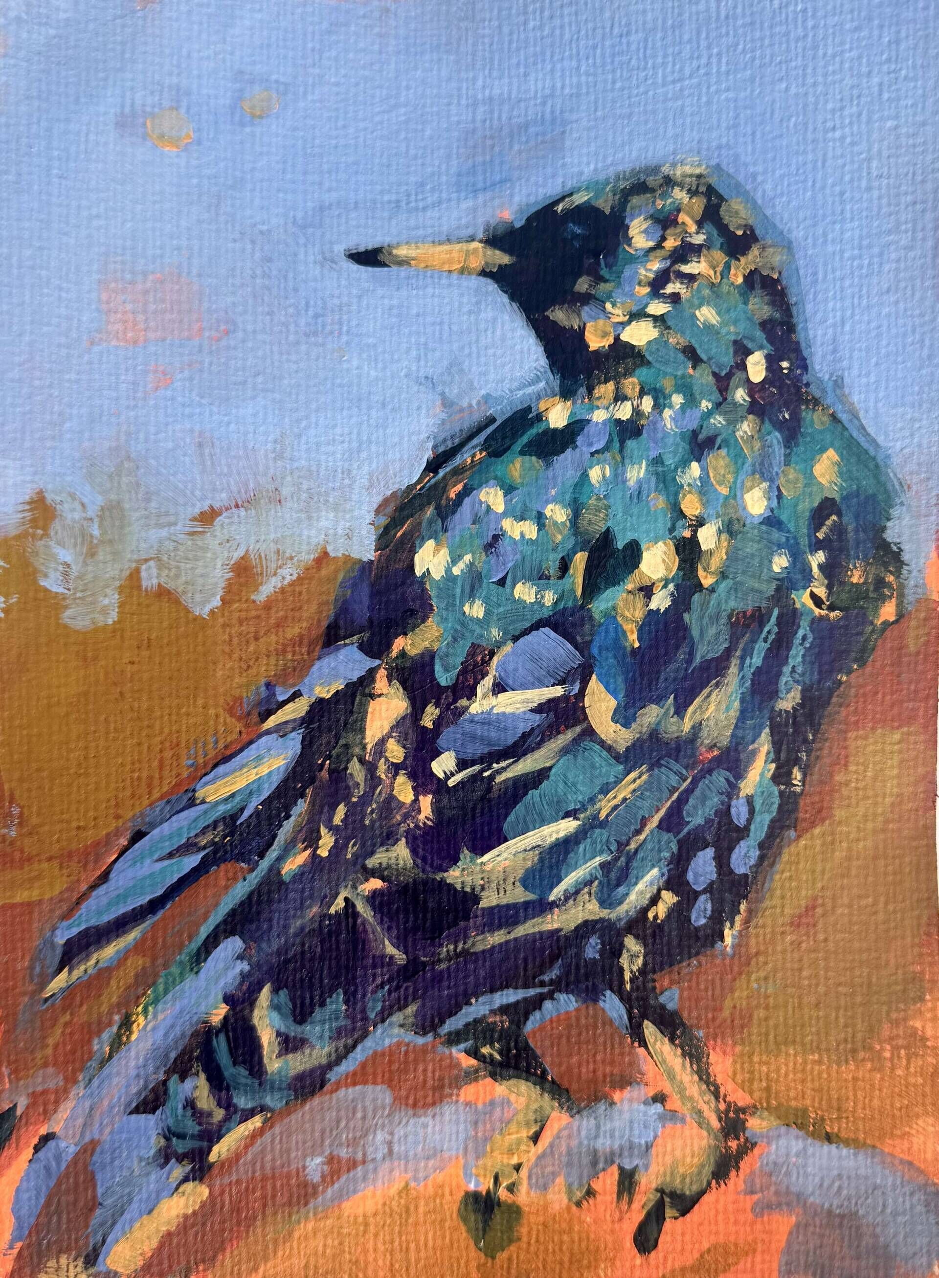 Star - Daniel Heimgärtner 1