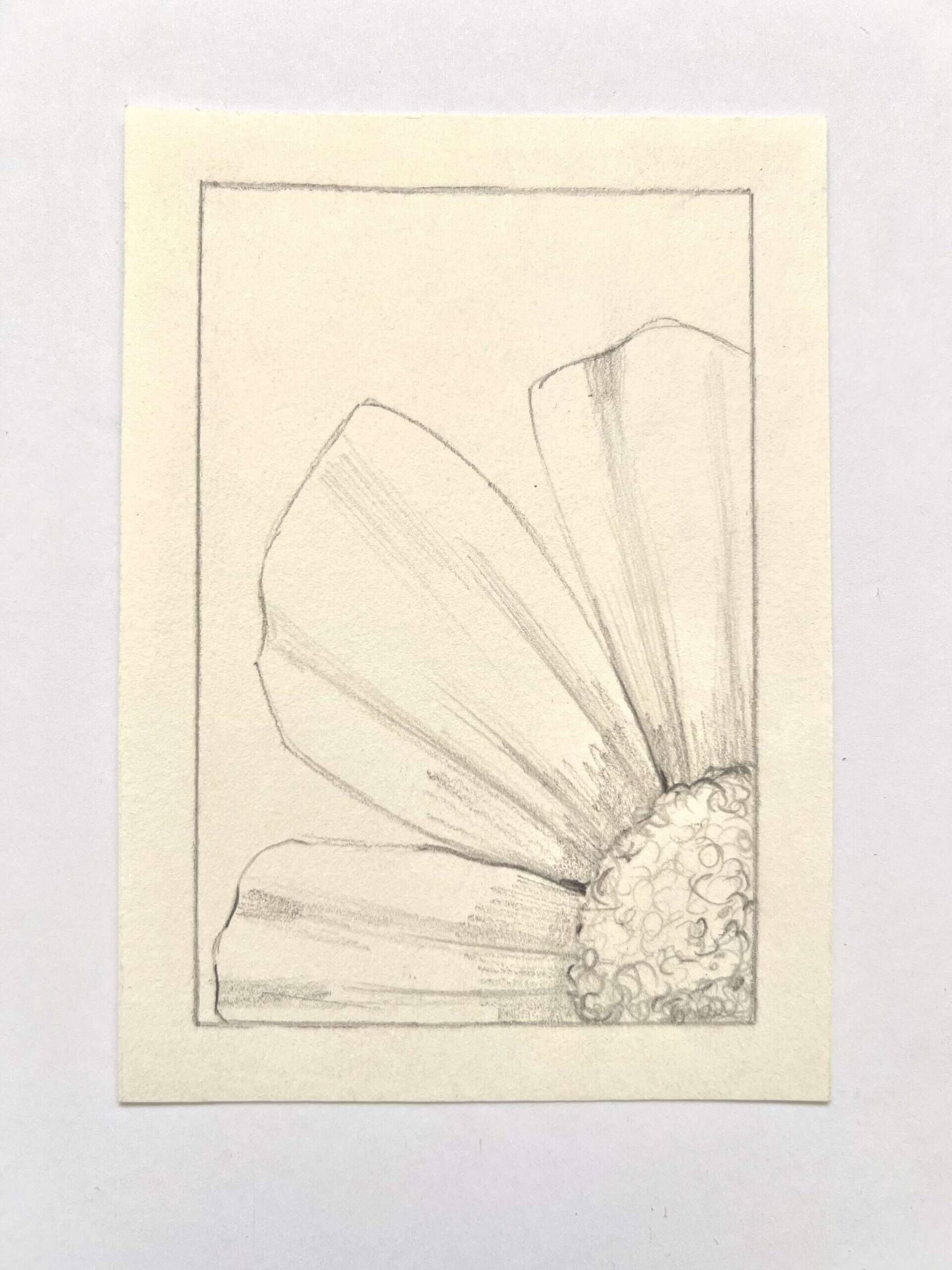 Blumenfenster - Paula Victoria Aldea 2